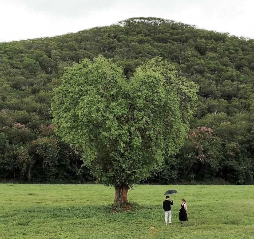 아침 심심하신분 들어오세요🙇‍♂️