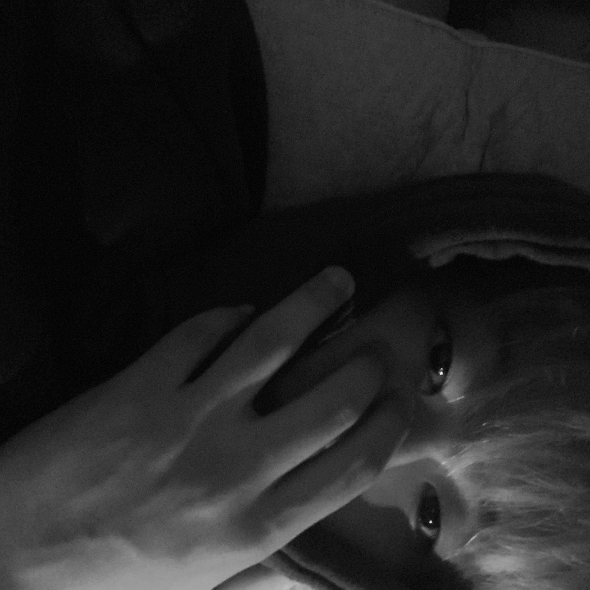 늘 행복 하세요 ,