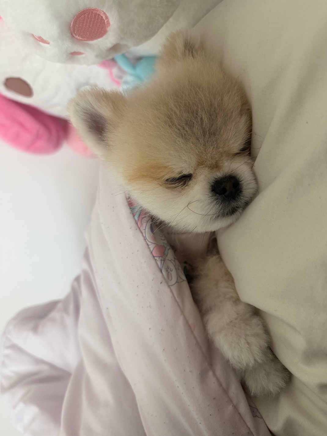 # 오늘도감사용