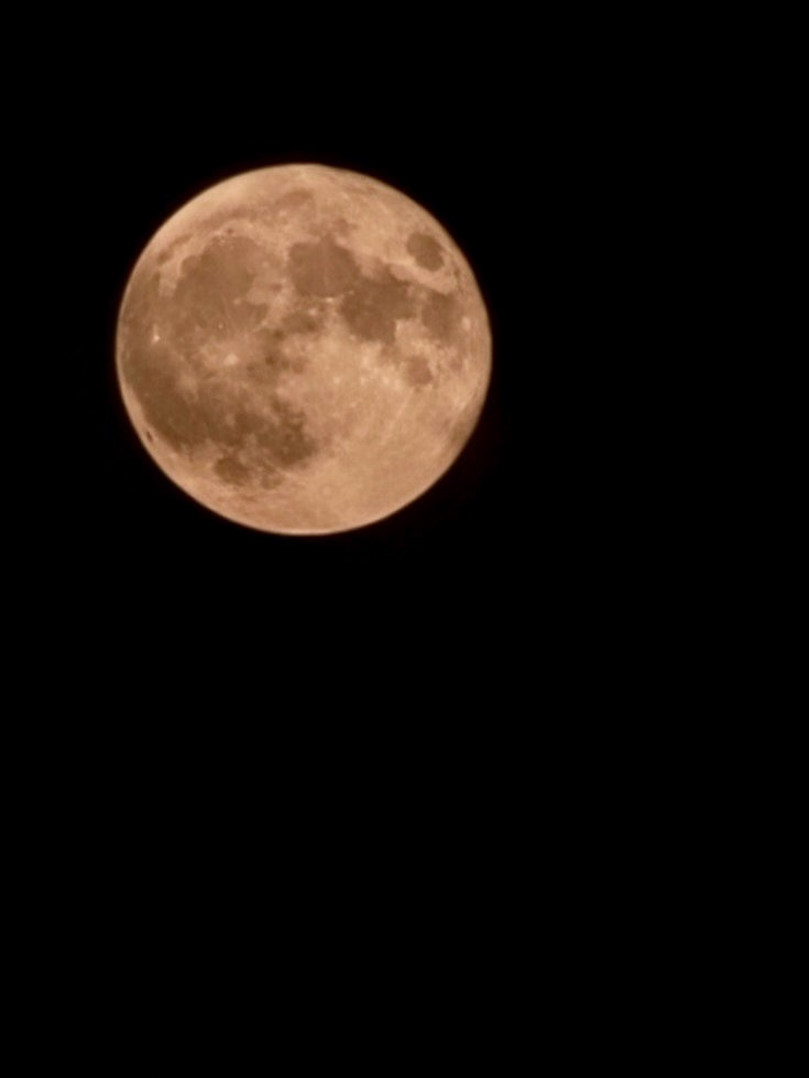 목소리 수집타임🎧