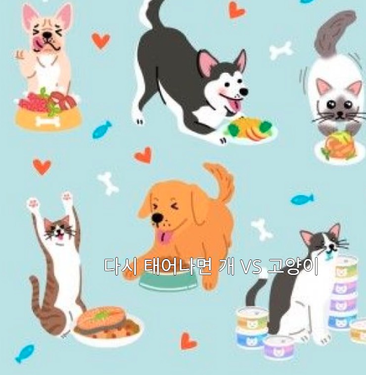 심심한분 들어오세요~💕