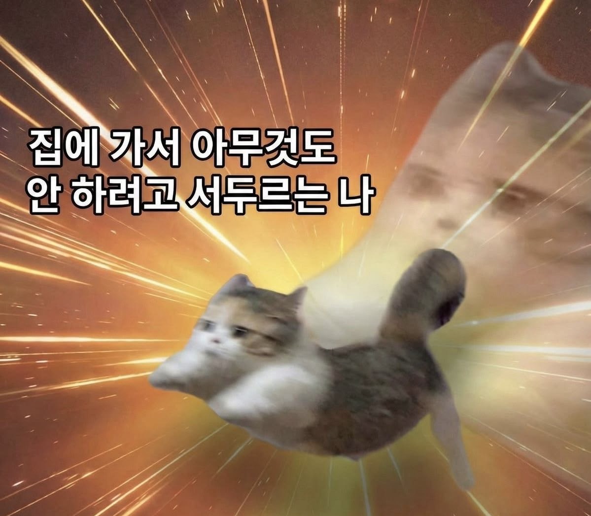 남자친구도 없고요 친구도 없어요