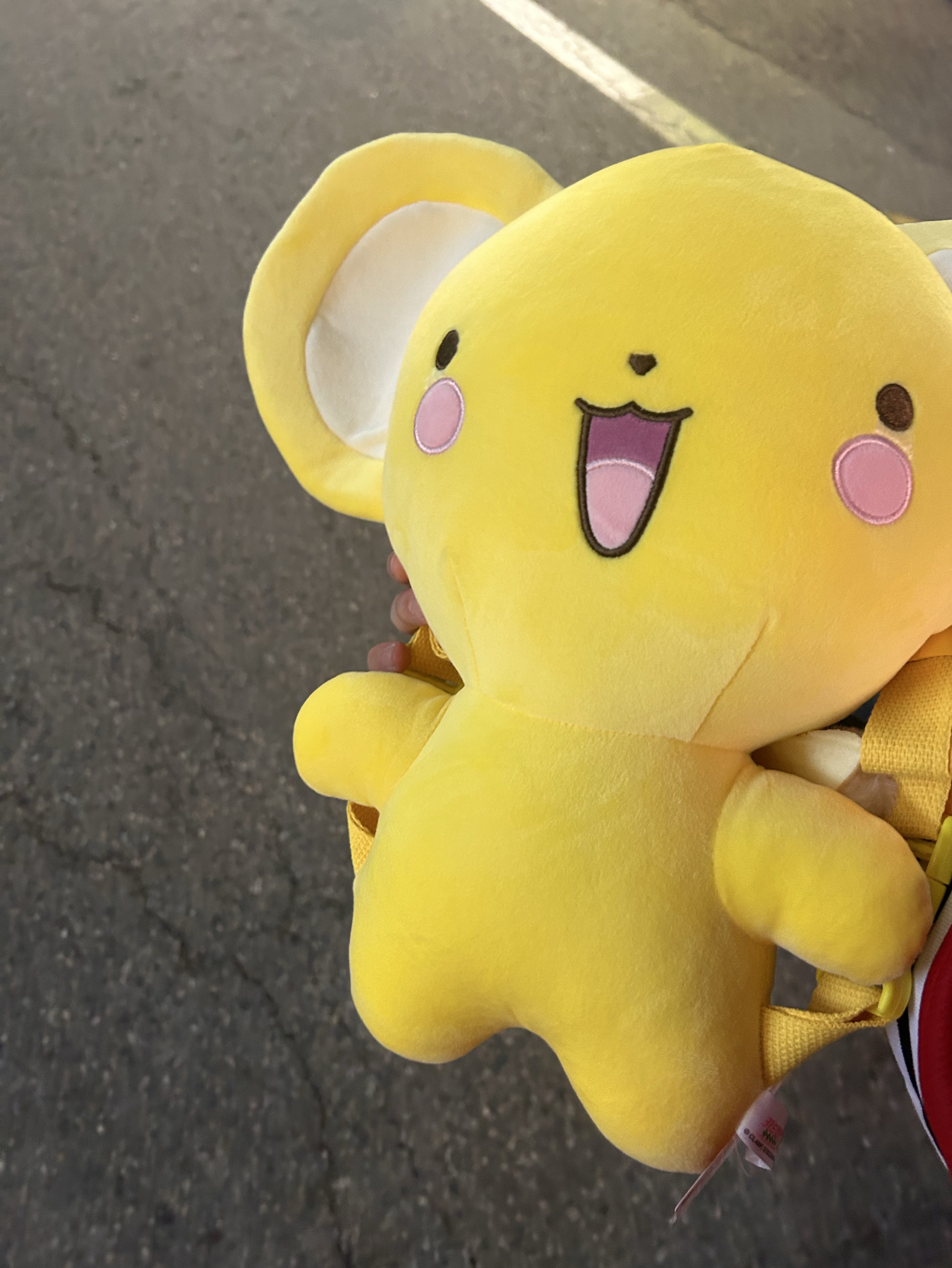 공부하려다가 코노 간 방송