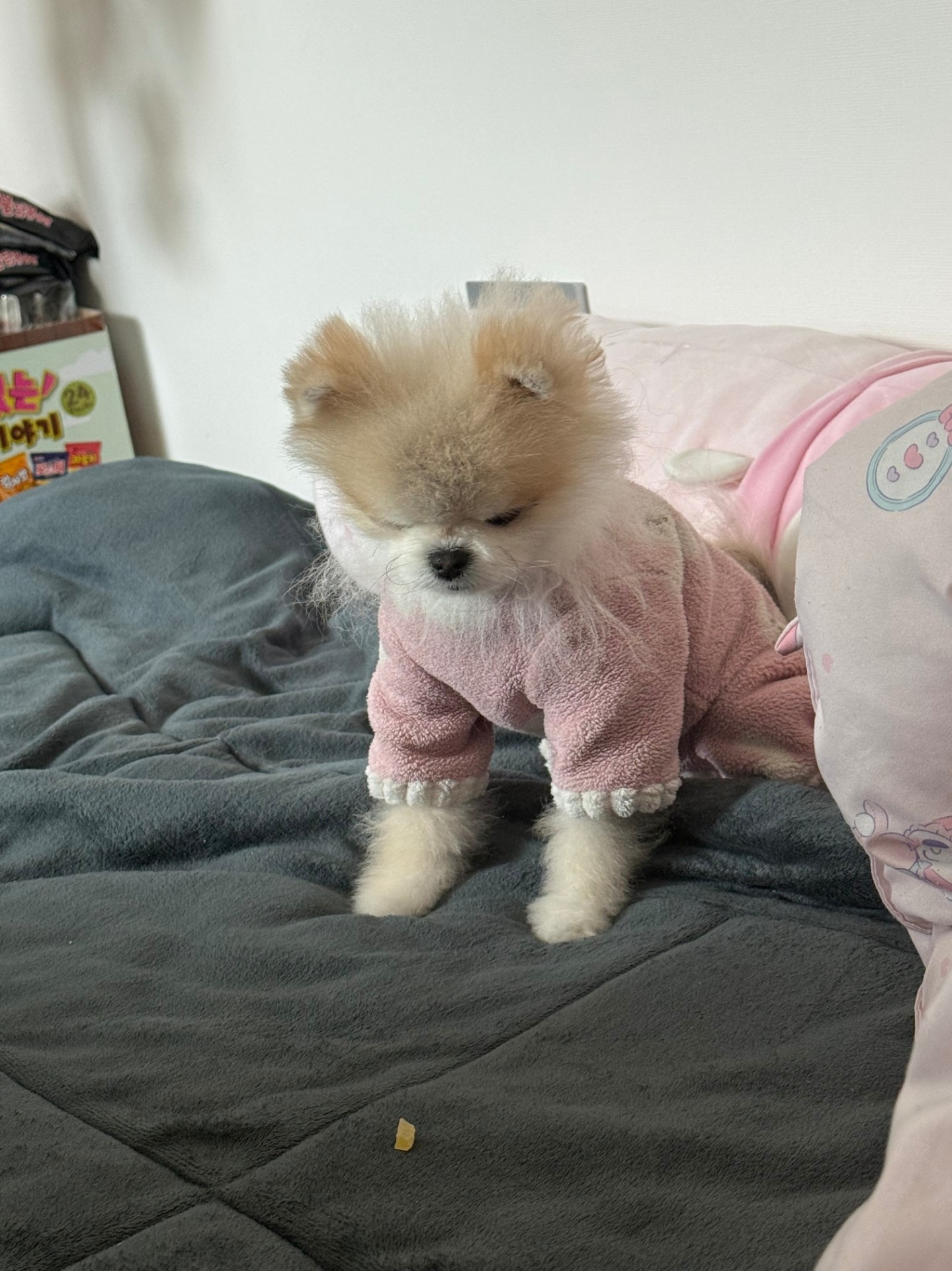 # 아침7시에만나요 렉스예수