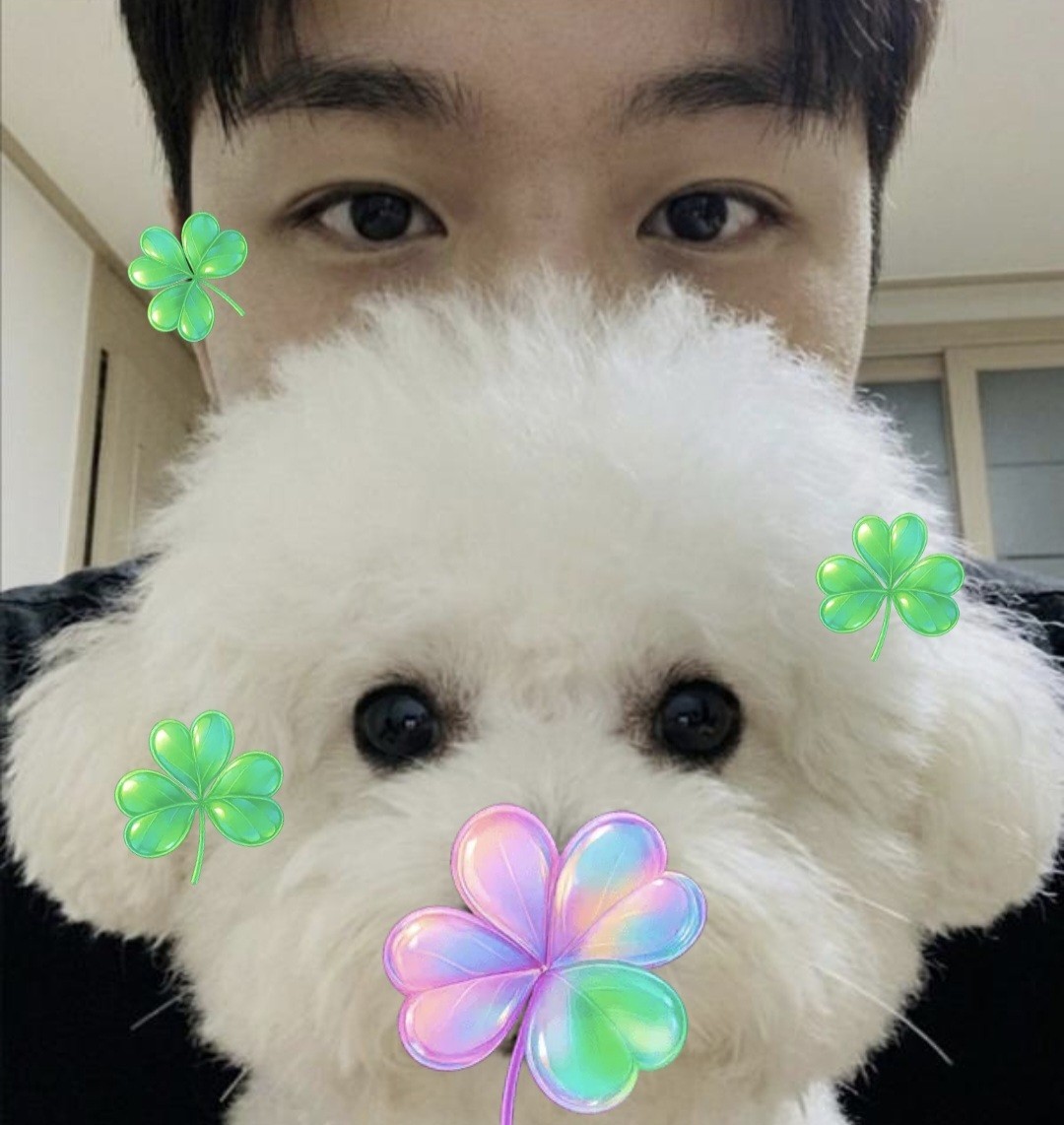 존잘 존예 뉴페이스 대환영 🤍