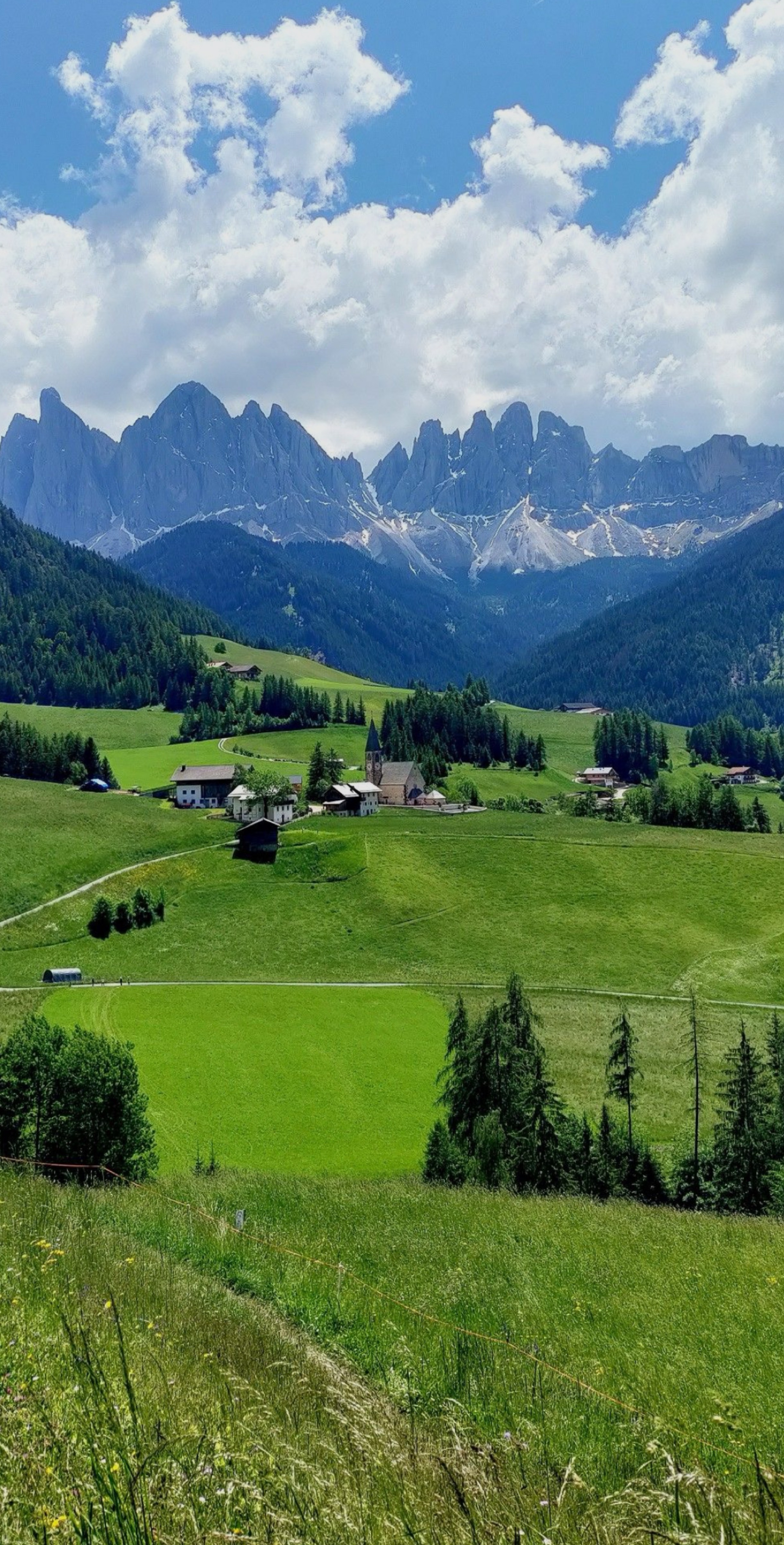 잔잔한 아침~ 심심하신분와요🙇‍♂️