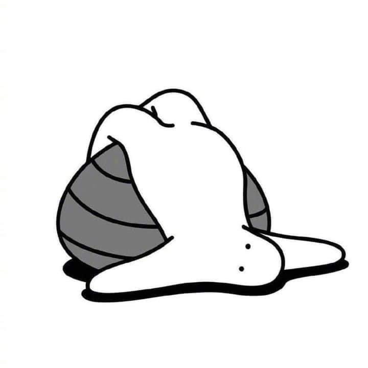 카피바라vs슈렉공주 지식대결