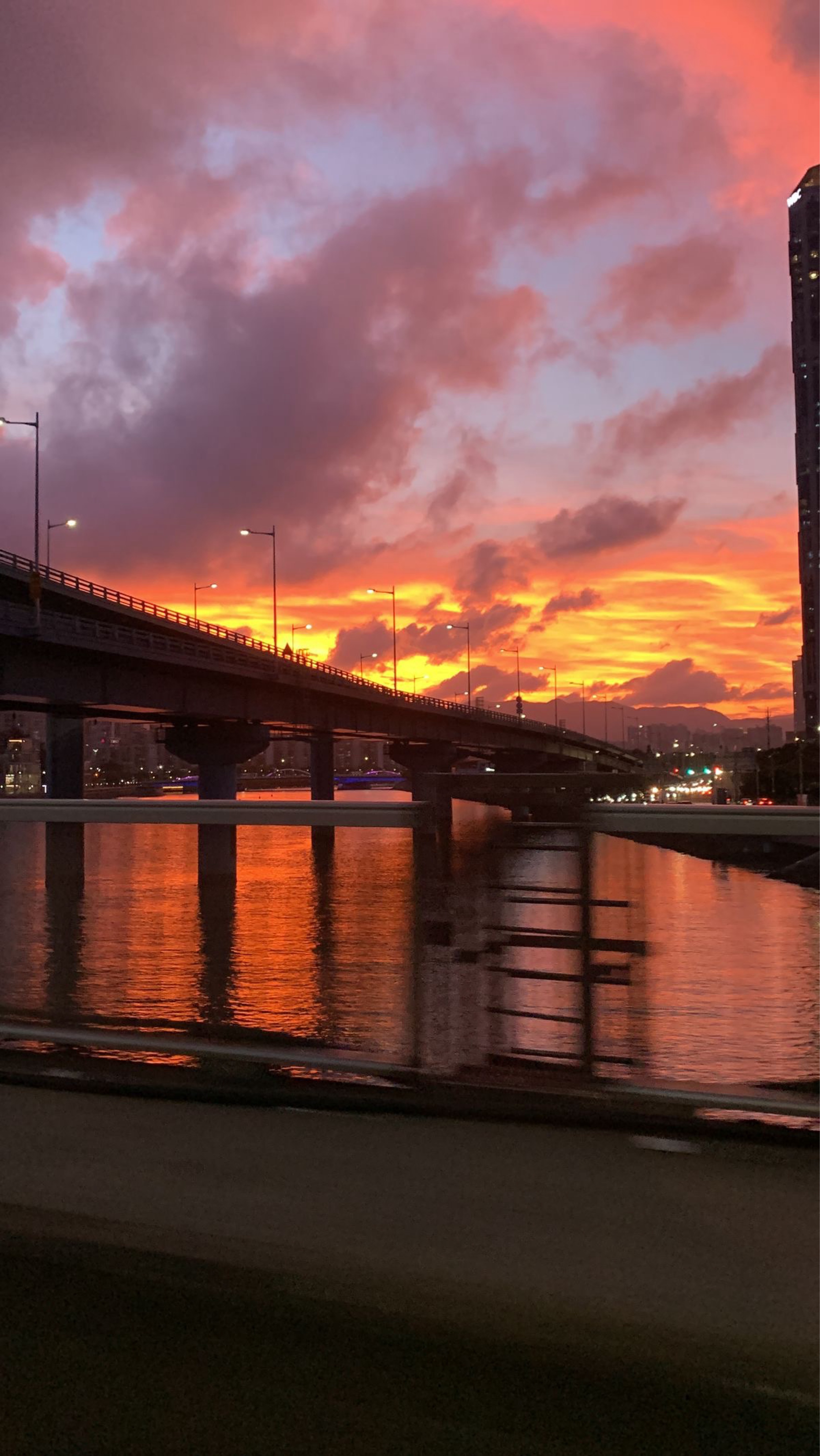 라콜 플리🙇‍♂️