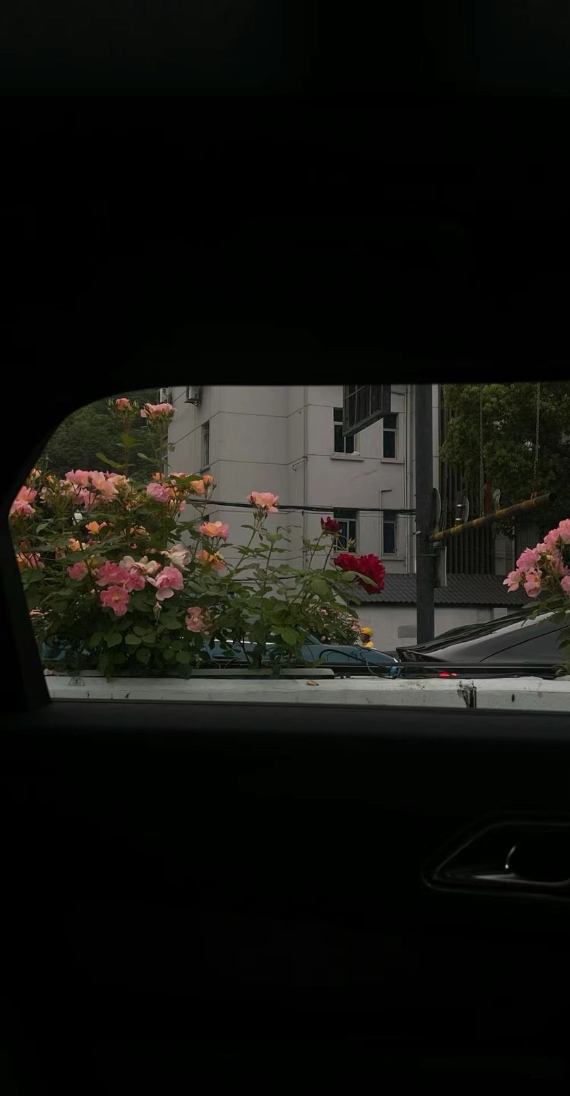 𝘮𝘪𝘥𝘯𝘪𝘵𝘦 ⠀ ⠀  ⠀