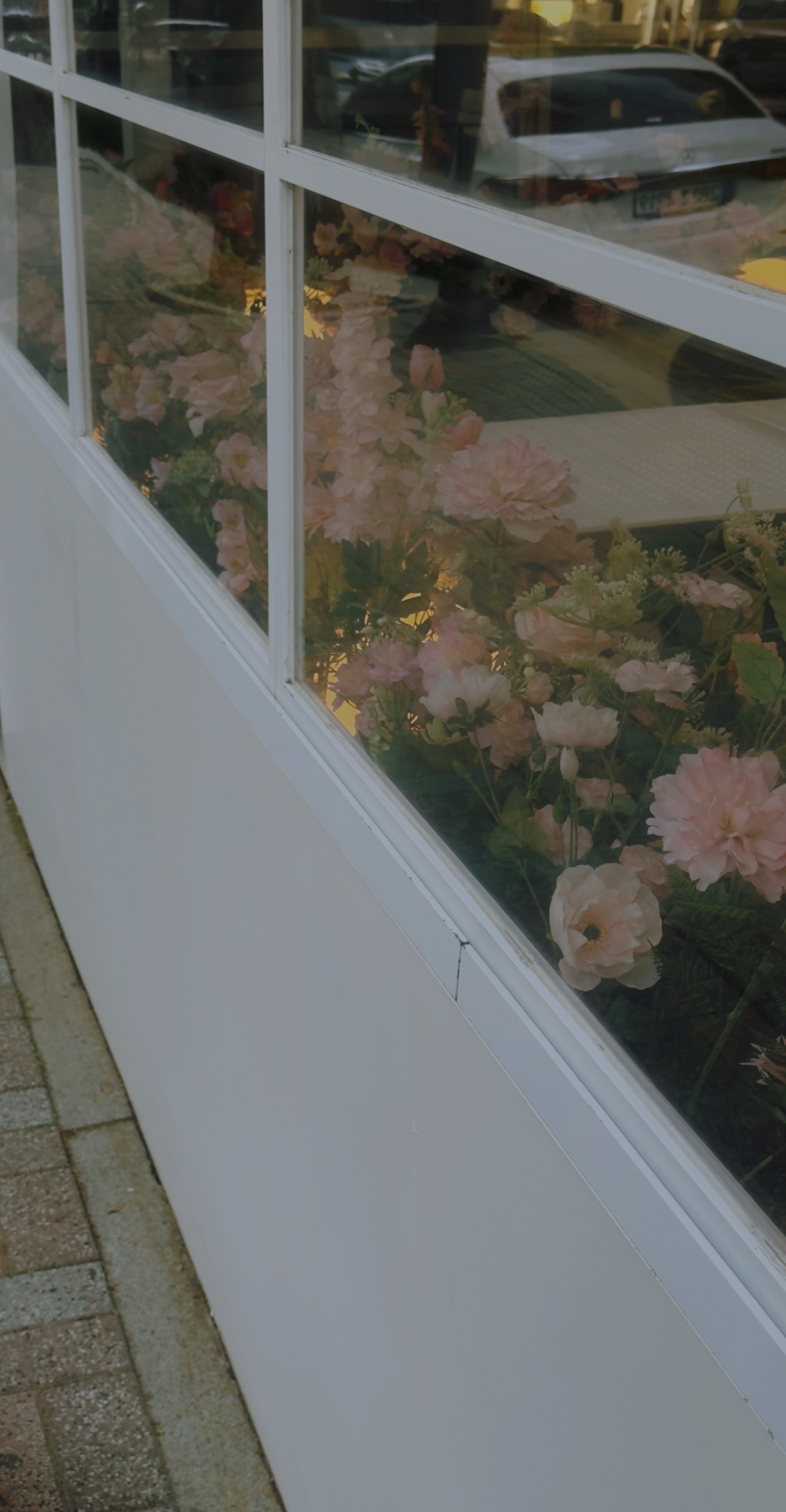 𝘠𝘰𝘶𝘳𝘴 𝘵𝘳𝘶𝘭𝘺