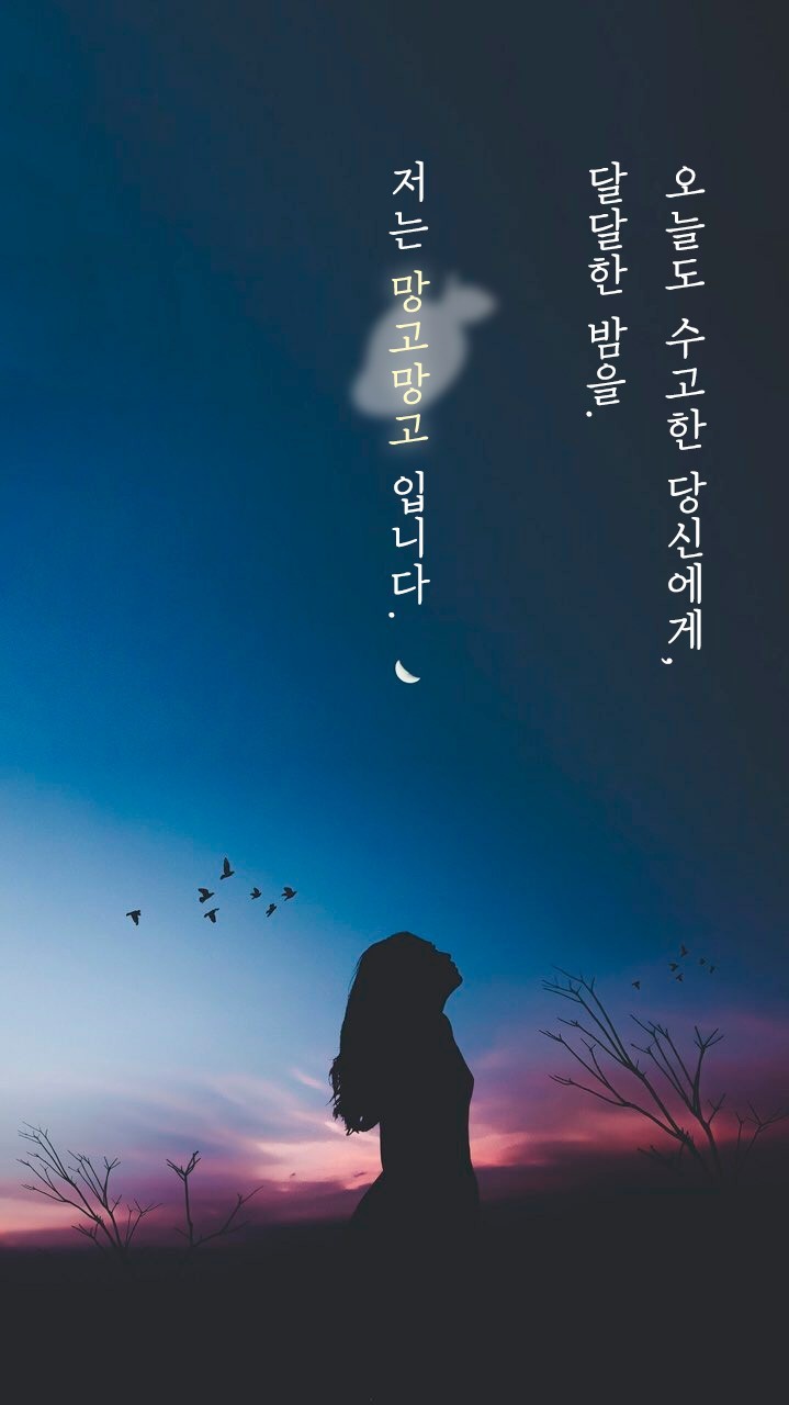 편안하고 잔잔하게, 그렇게 ˖◛⁺