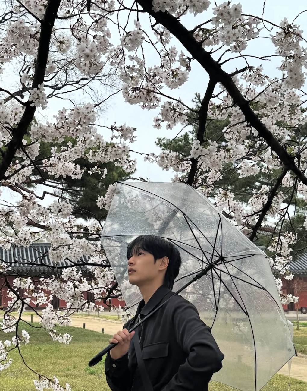 이 남자는 무료로 해드립니다.