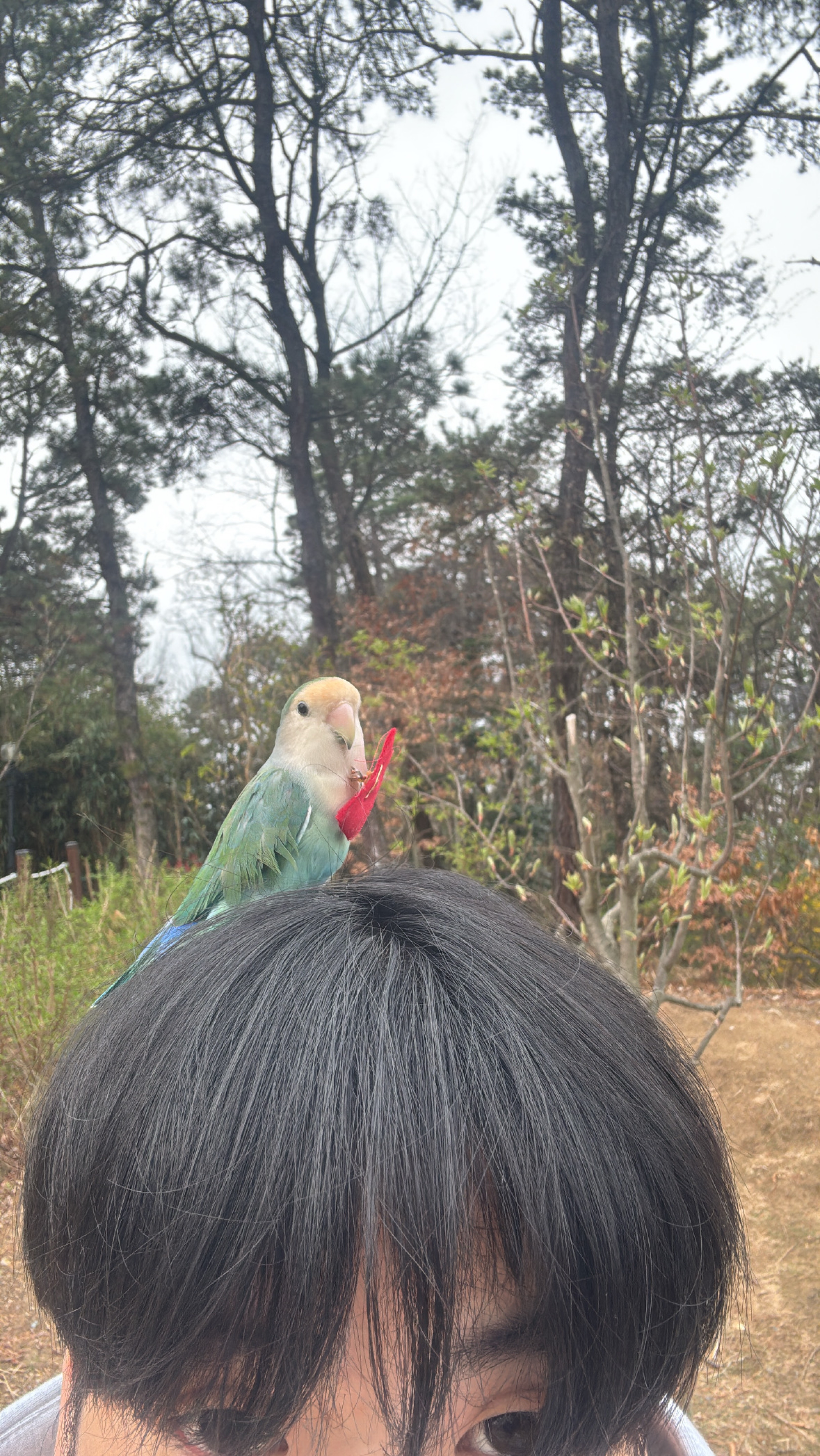 험한 것이 나왔다.