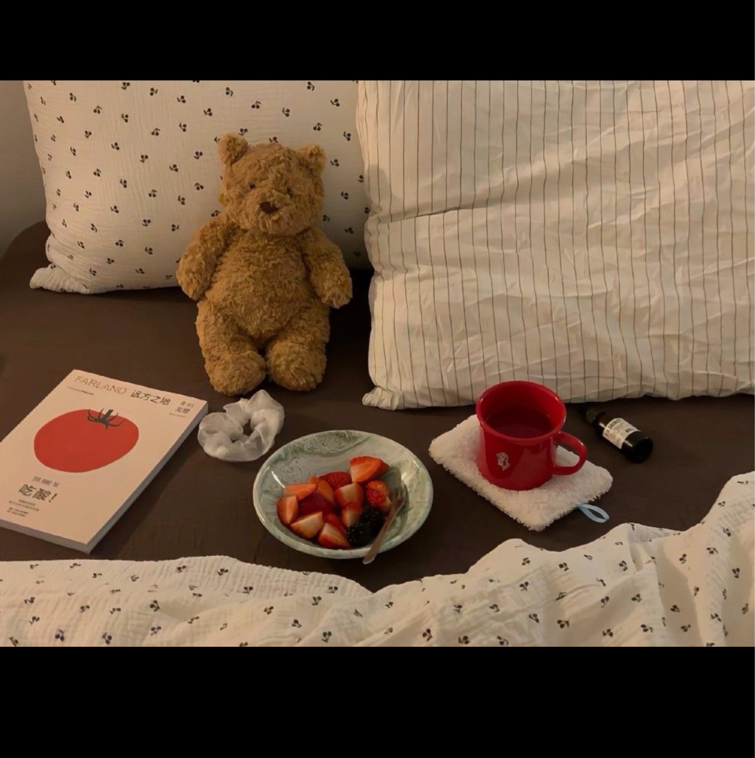 가장 따뜻한 마음으로 🪴