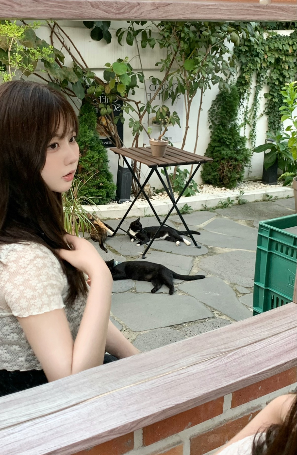 좋은 꿈 꿔  - ☘︎