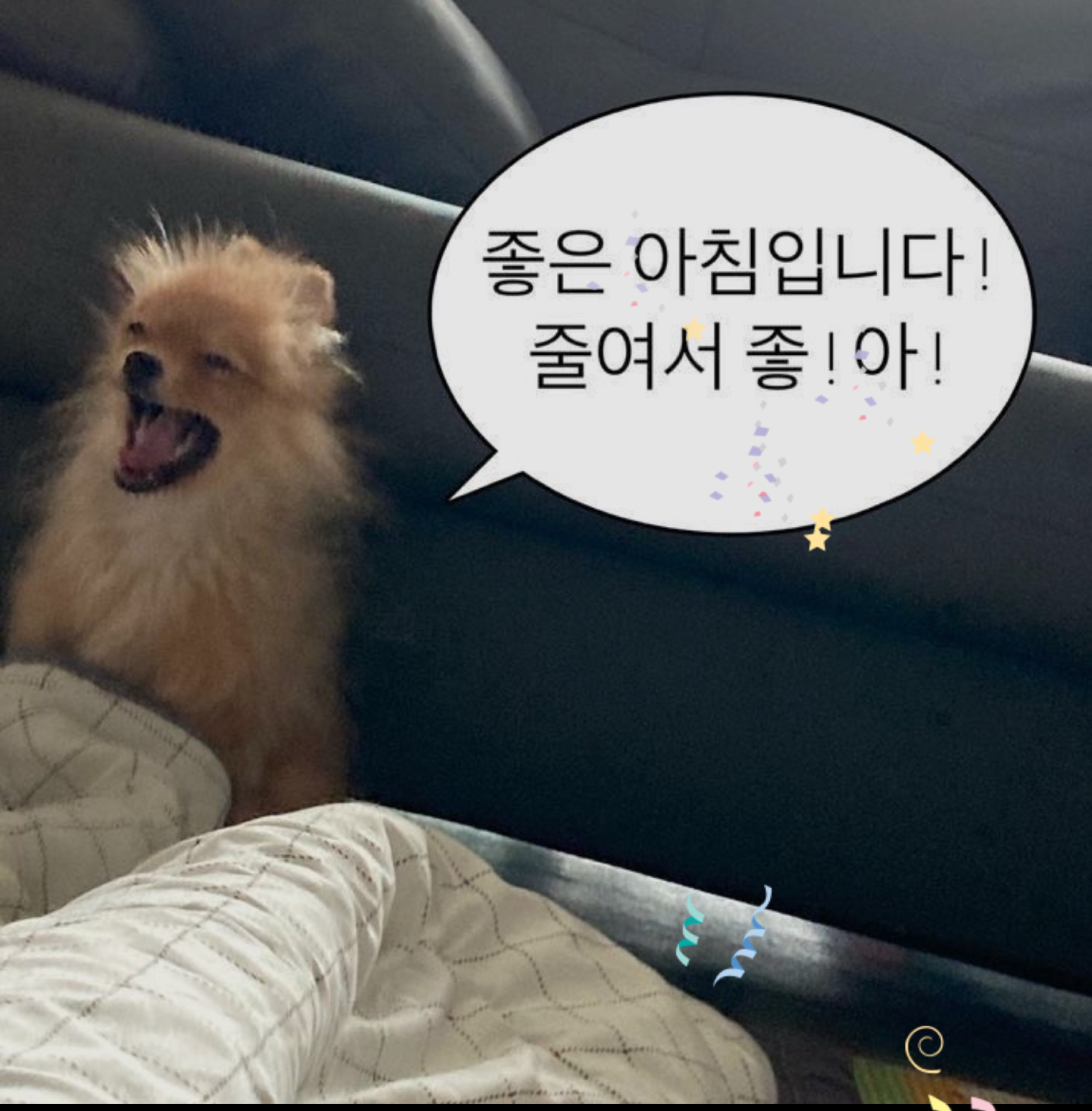 아침💕 심심한스푸너를 위한방송🙇‍♂️