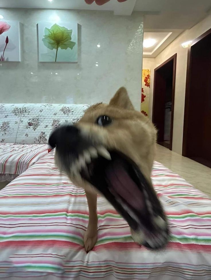 잔잔한 아침~ 심심하신분와요🙇‍♂️