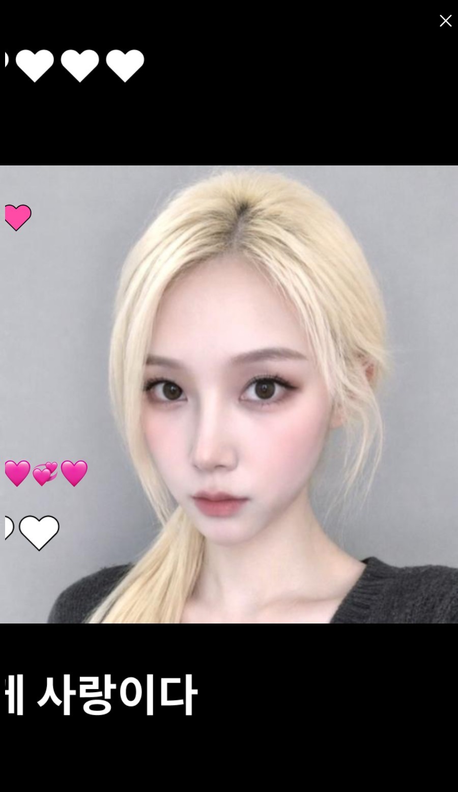 시간 도둑 고양이