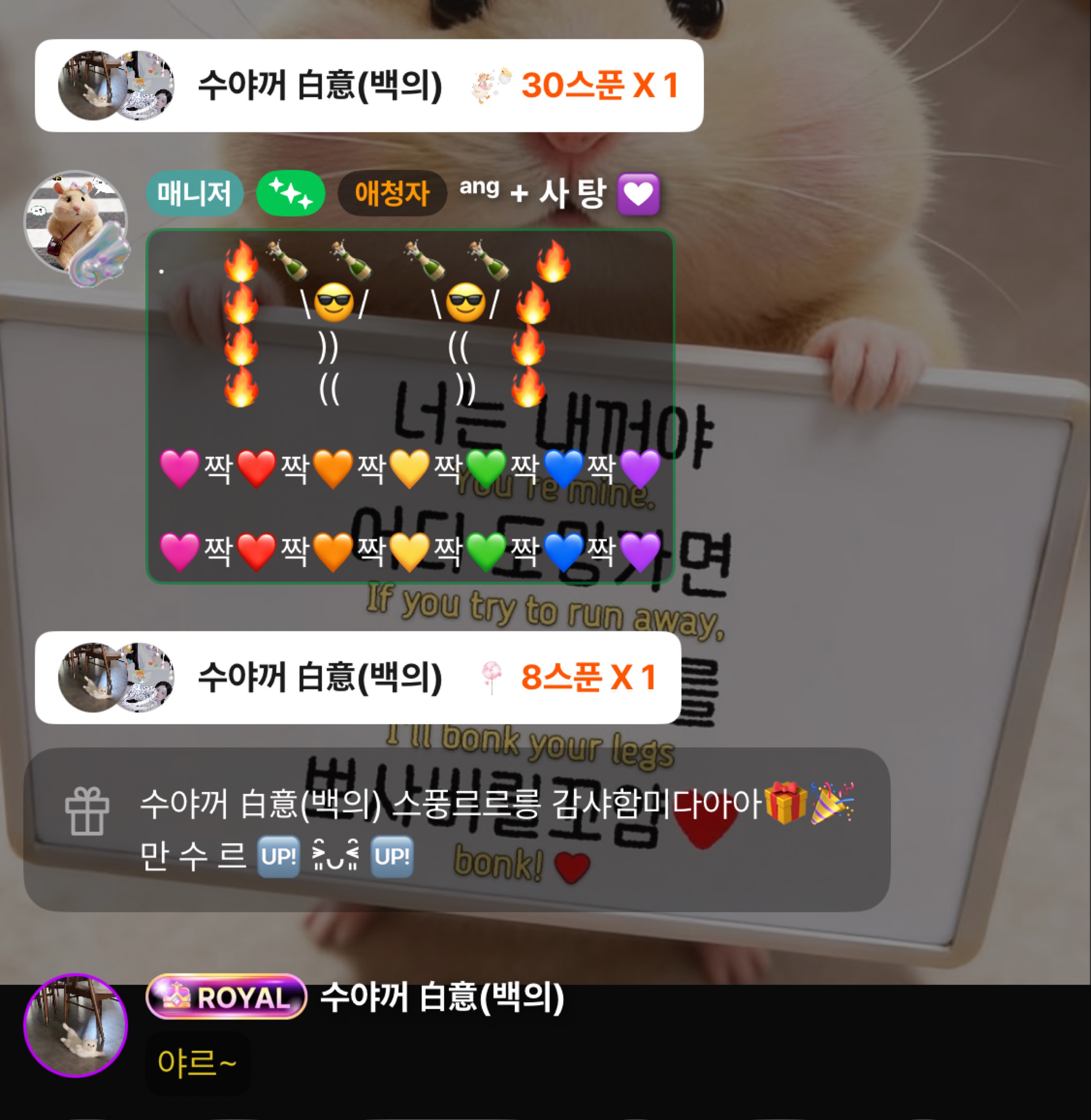 갱상도얼짱 ғᴍ¹ / 하꼬 키우기,,