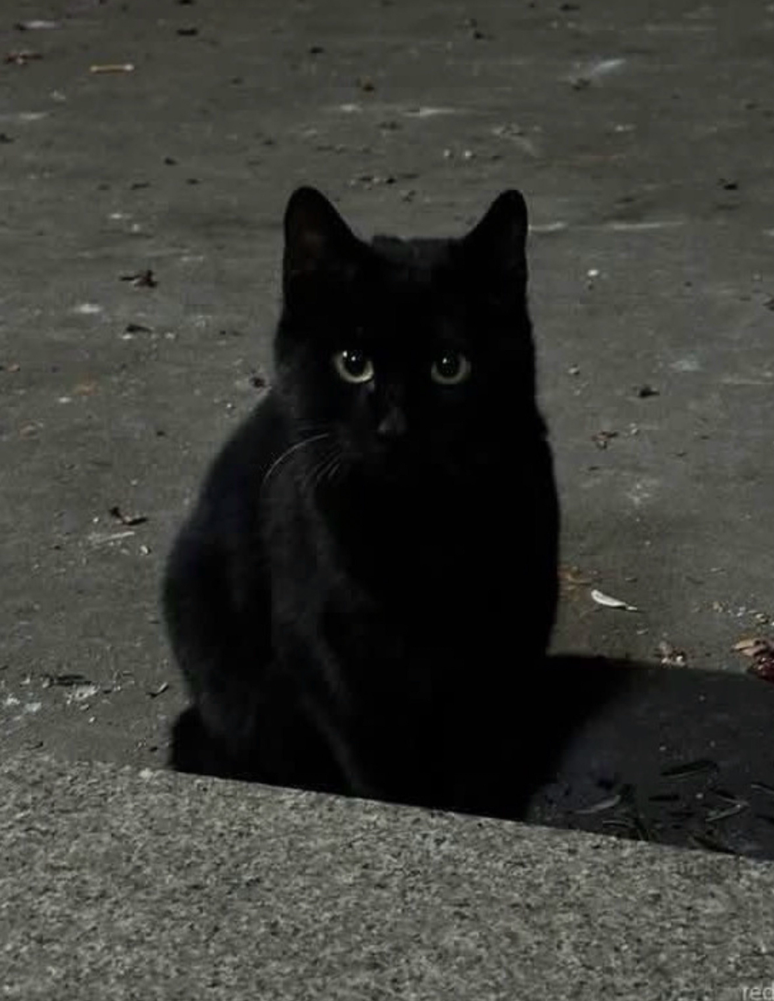 잔잔한 아침~ 심심하신분와요🙇‍♂️