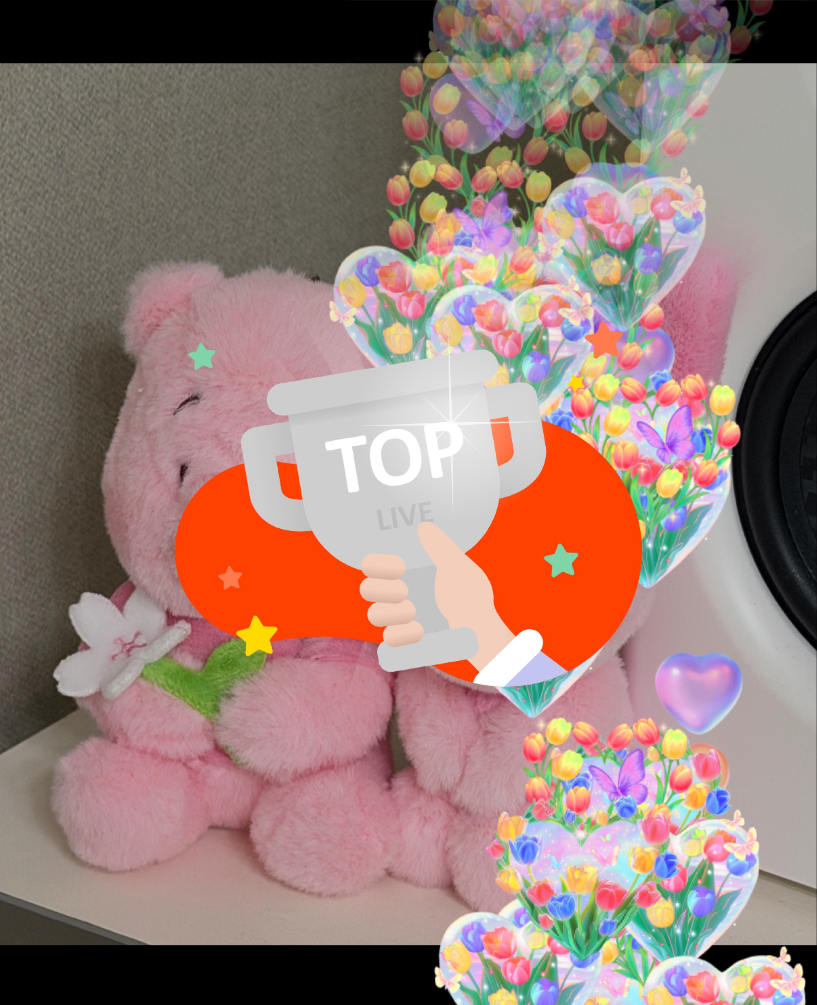 뽀록 뽀송한 밤