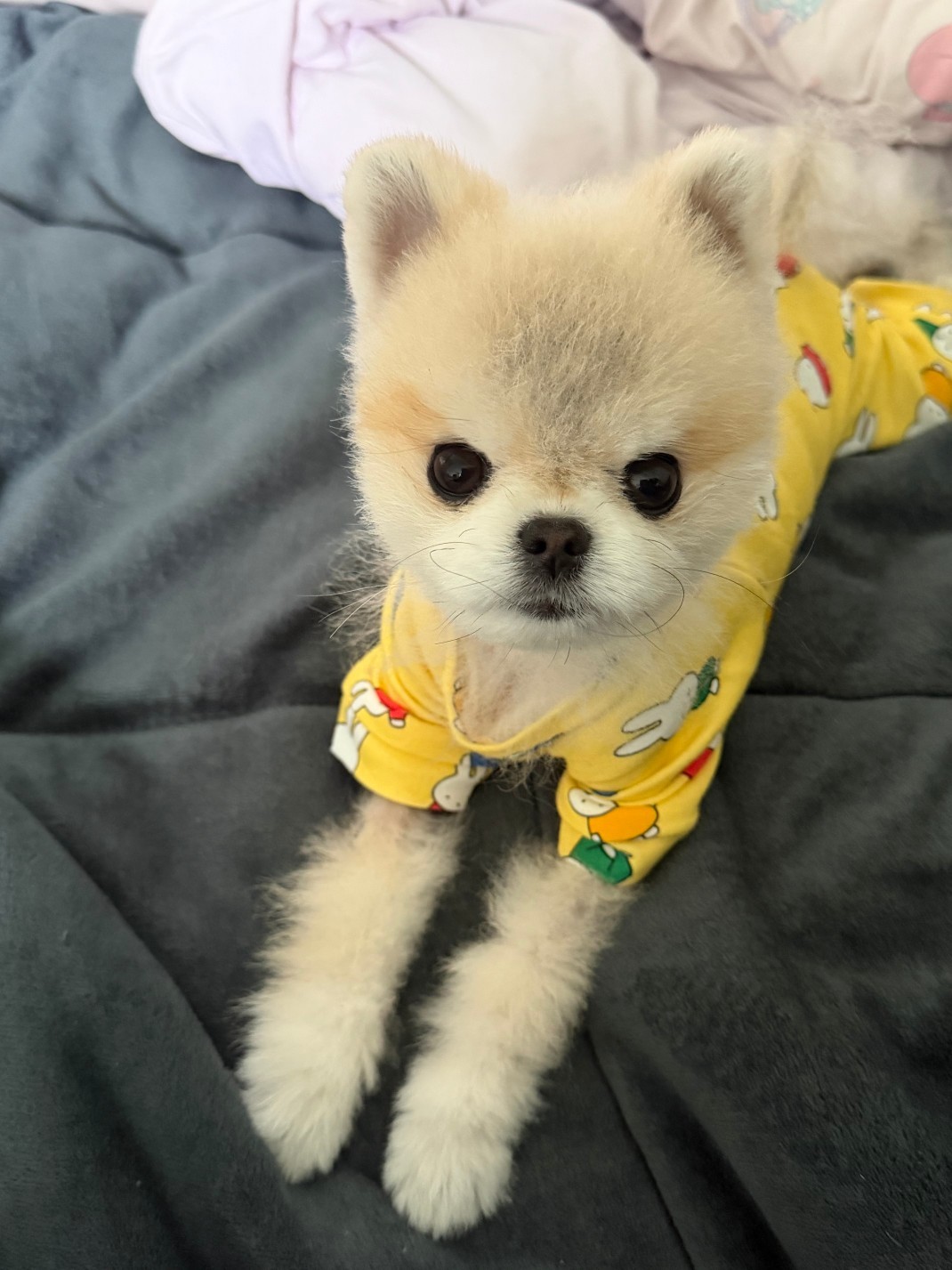 # 새벽5시에만나요 렉스예수