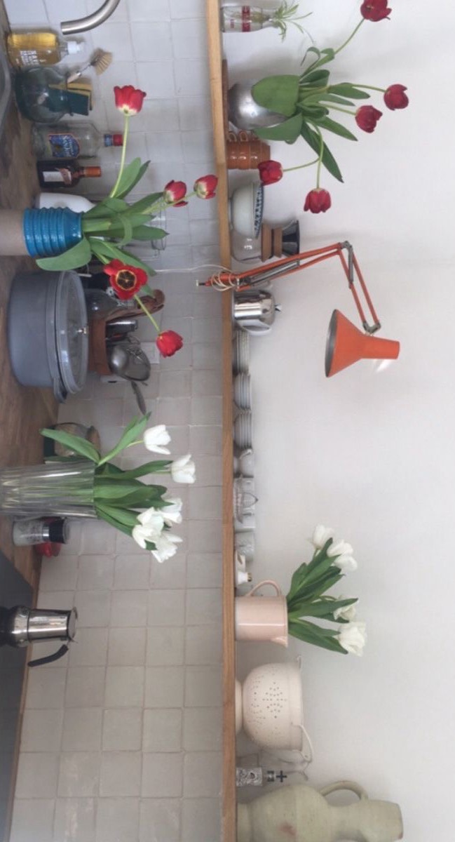 🌿⠀ ⠀ ⠀  ⠀ ⠀