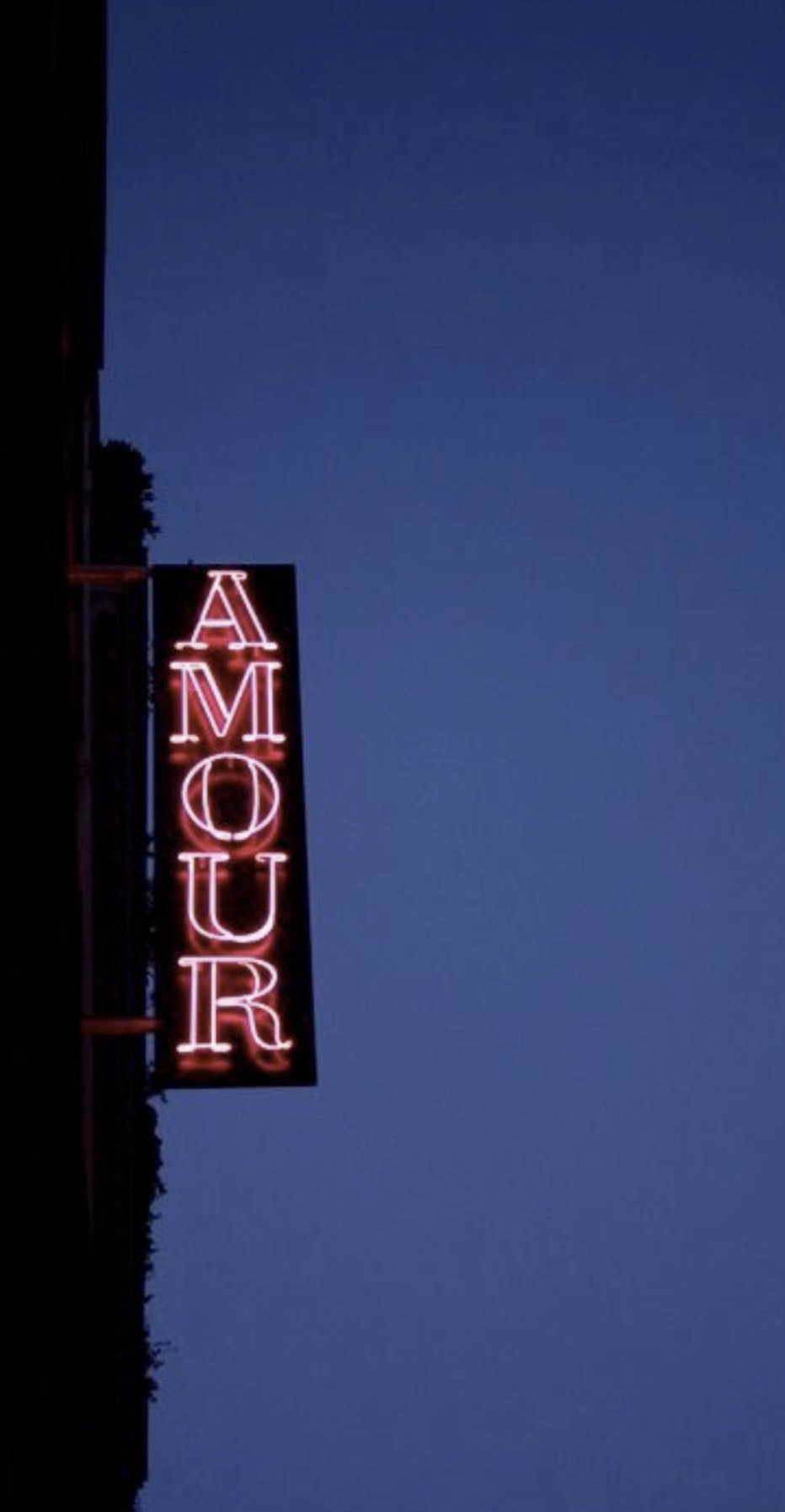 𝘮𝘪𝘥𝘯𝘪𝘵𝘦 ⠀ ⠀  ⠀