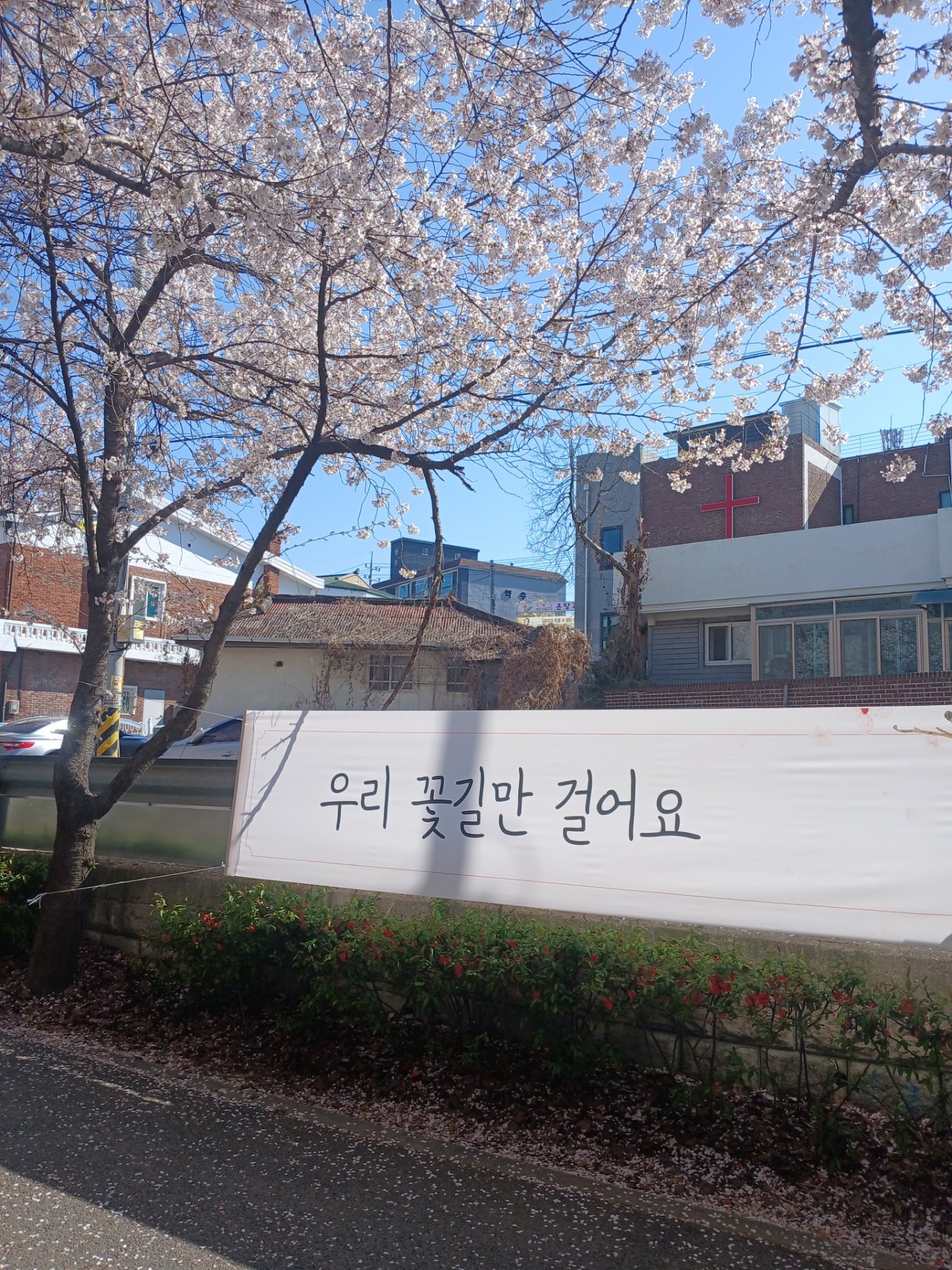 -`♥´-디로업 디로뿐