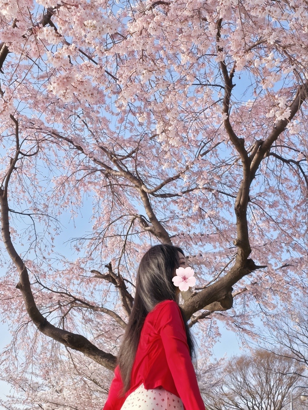 귀여운 여자의 앙 - ♡