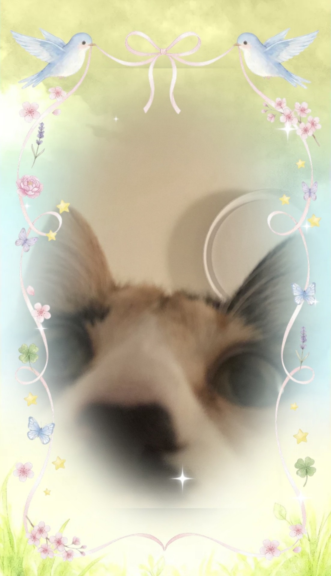 혼자 카피 따는 방송