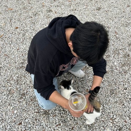 노래 들어볼래요???