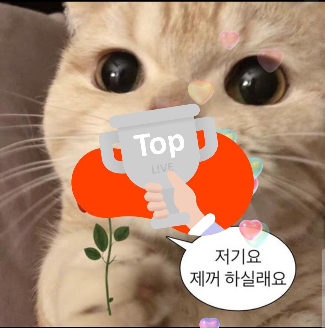 100팬 기념 방송🥺