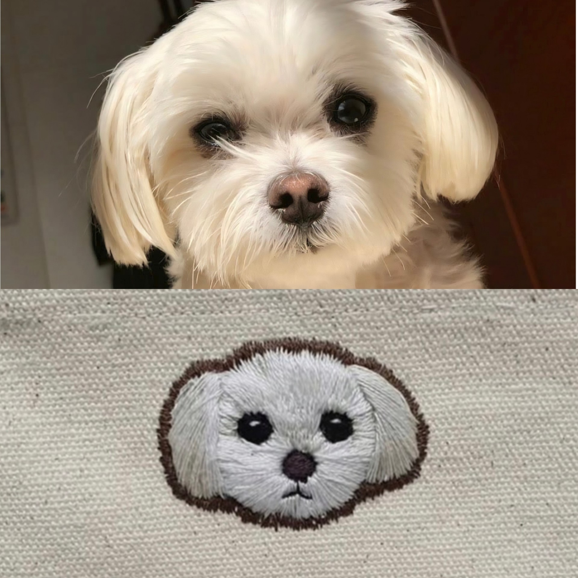 라콜 1번 잘생긴오빠 찾음👀