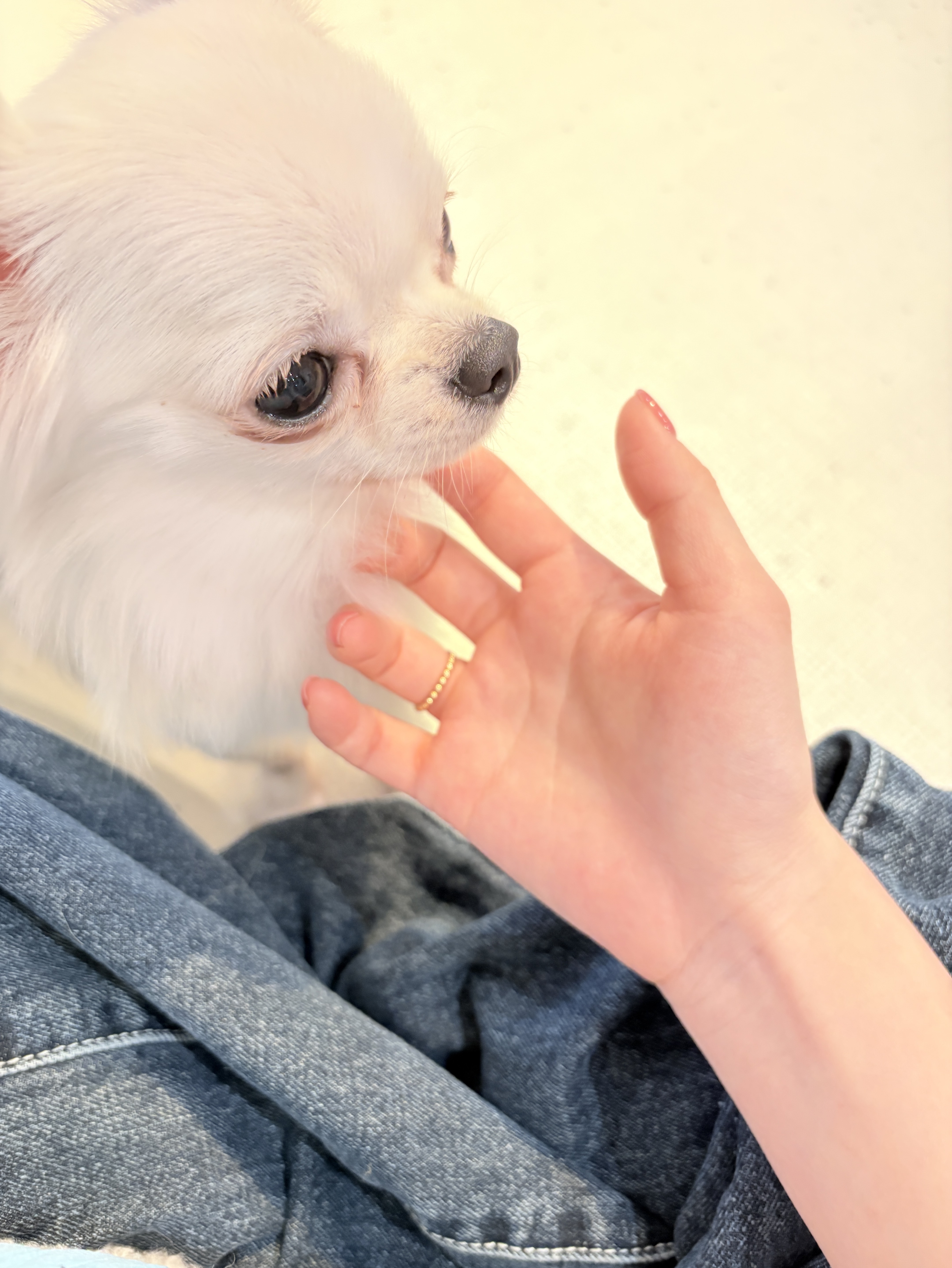 히히 안넝하세요