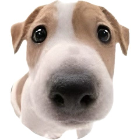 미녀 미잼의 노래방송