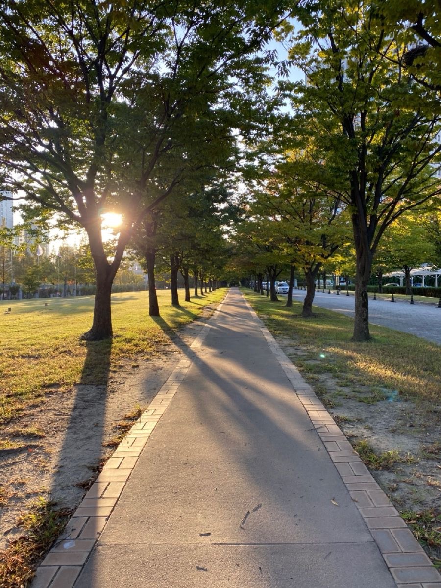 아침🙇‍♂️ 딴짓하기좋은방