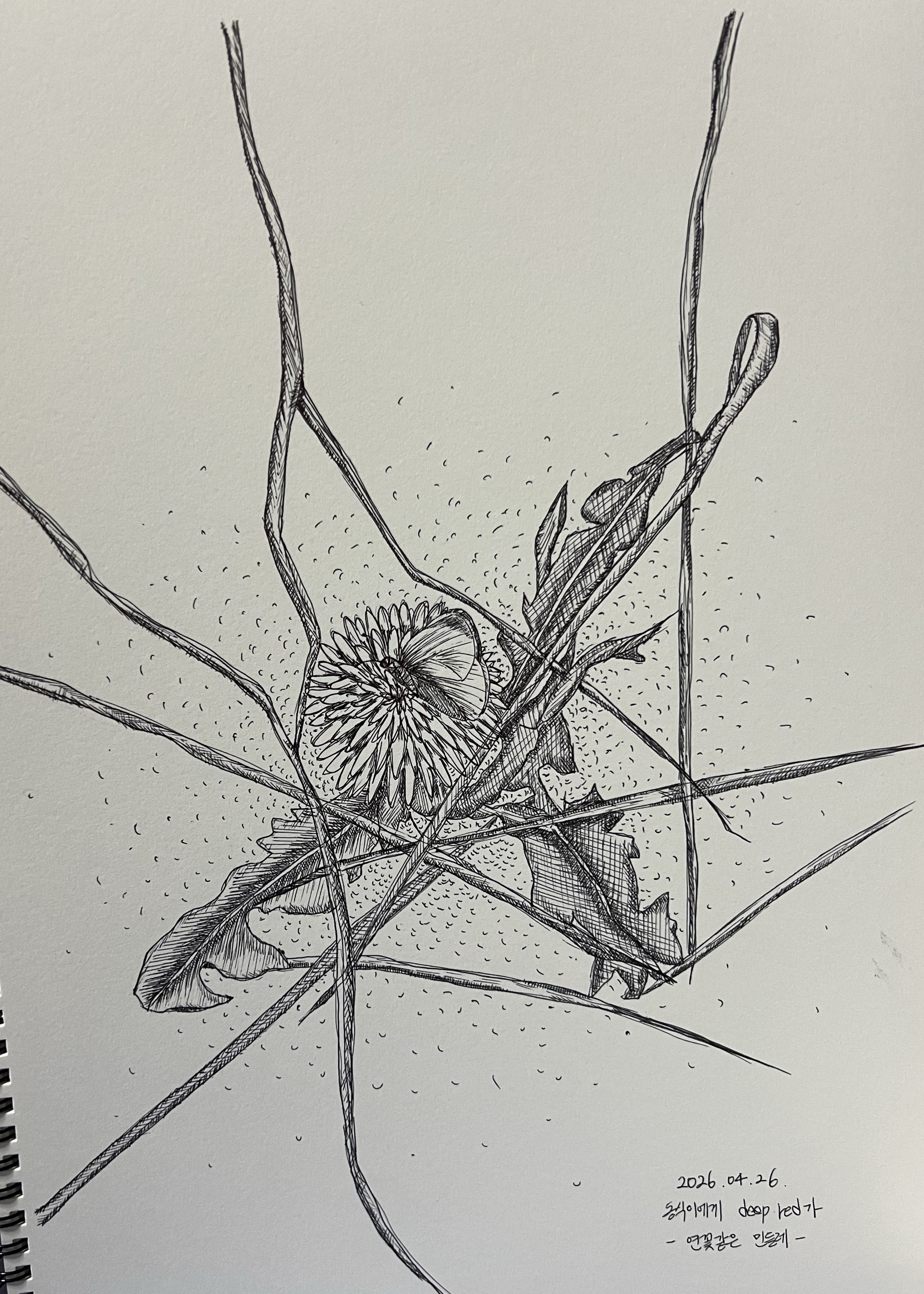 플리?) 그림 그리는 중 / 말 가끔