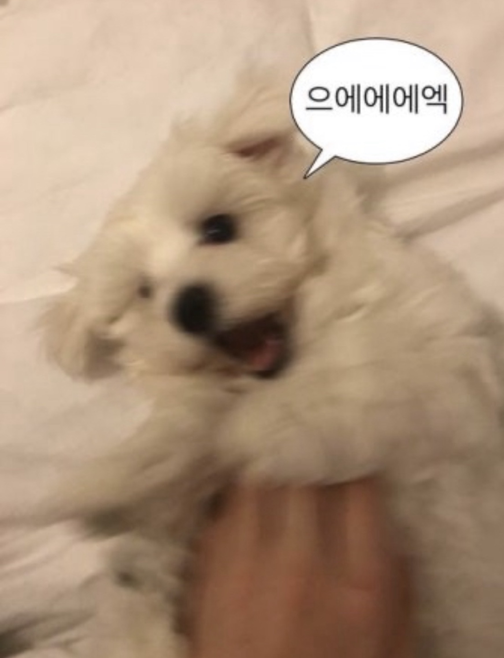 소통(421등 좀만 도와주세요)