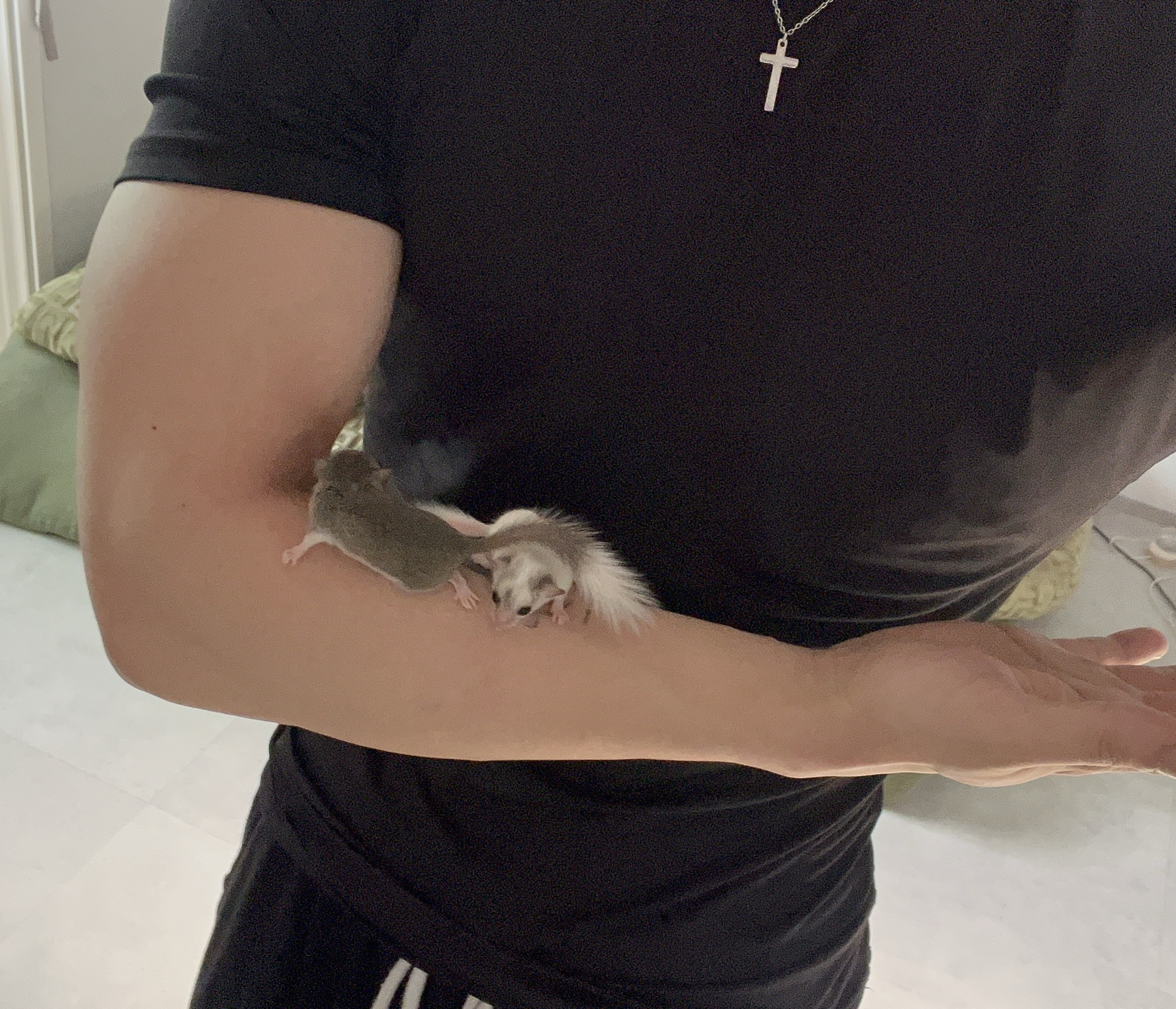 내방엔 사람이 올까…? ㅠ