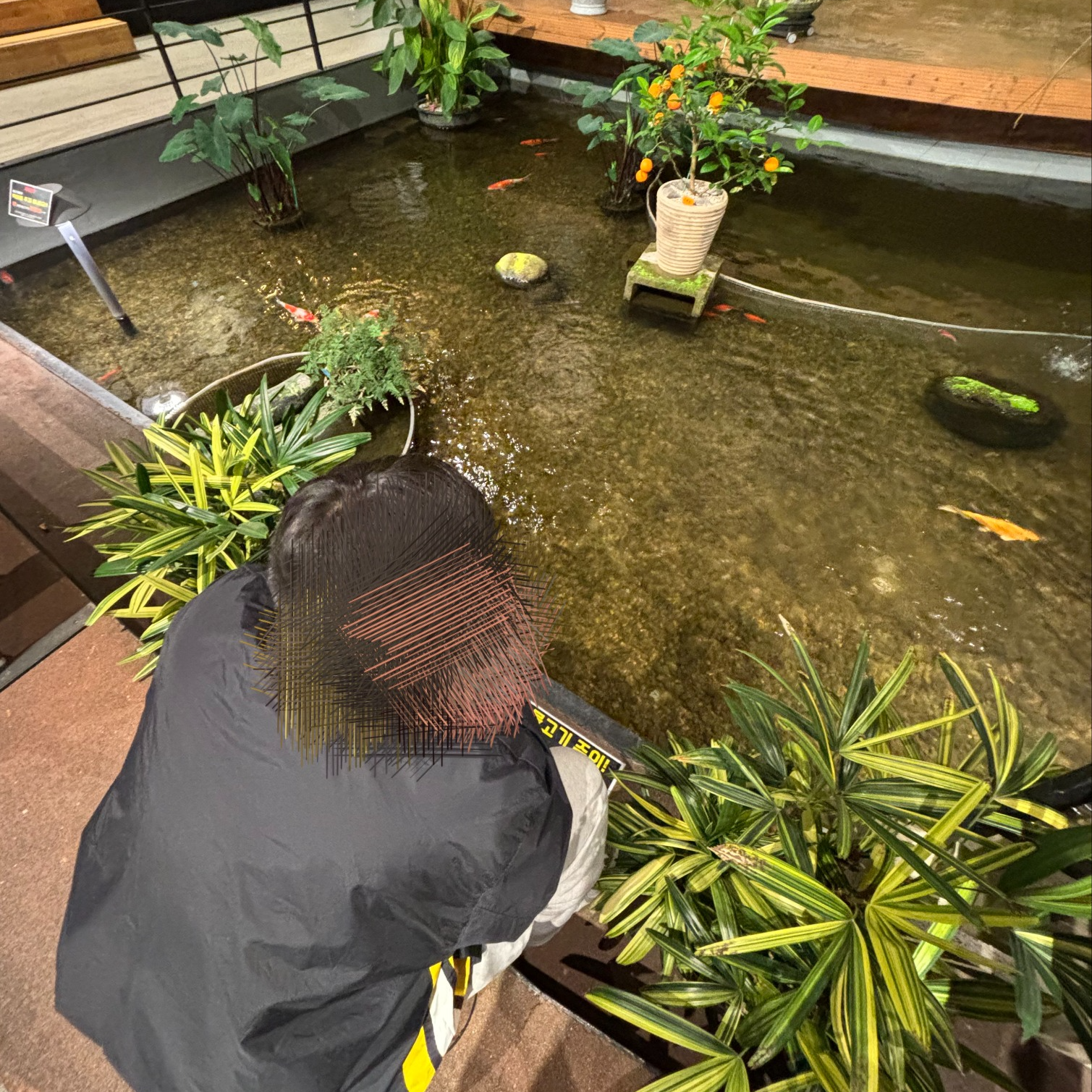 만개 가져오라했다。