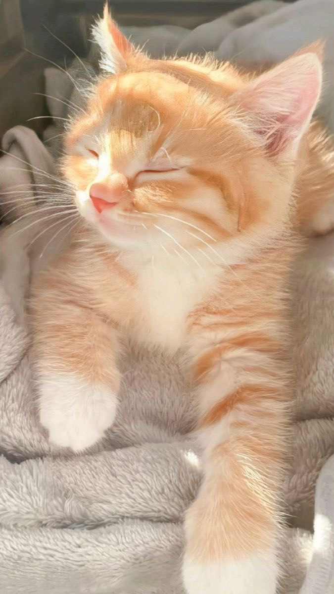 수다방𖦤˖* _ 한명만