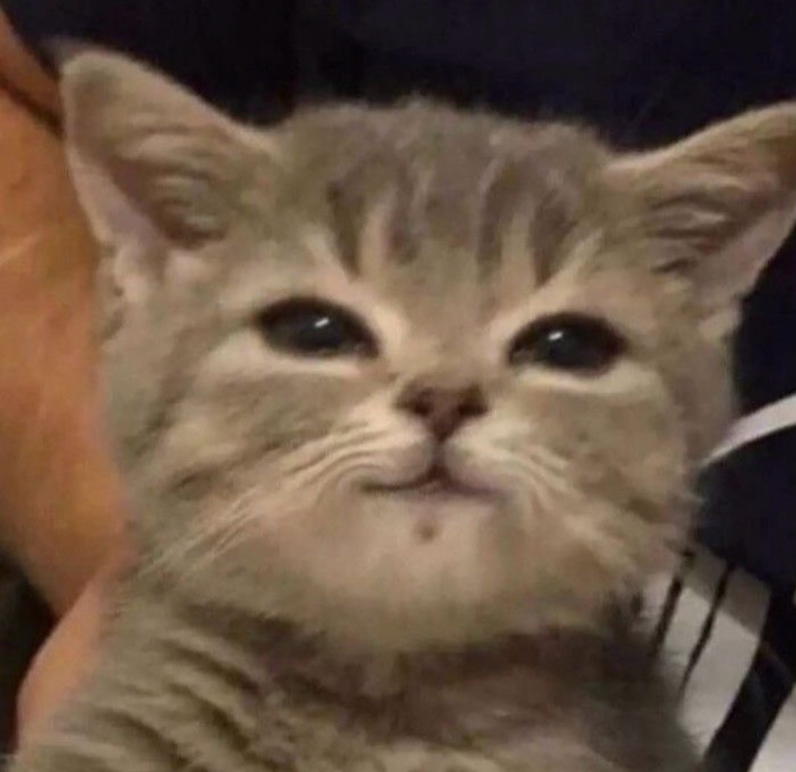 틀어두고 딴짓해도되는방💕