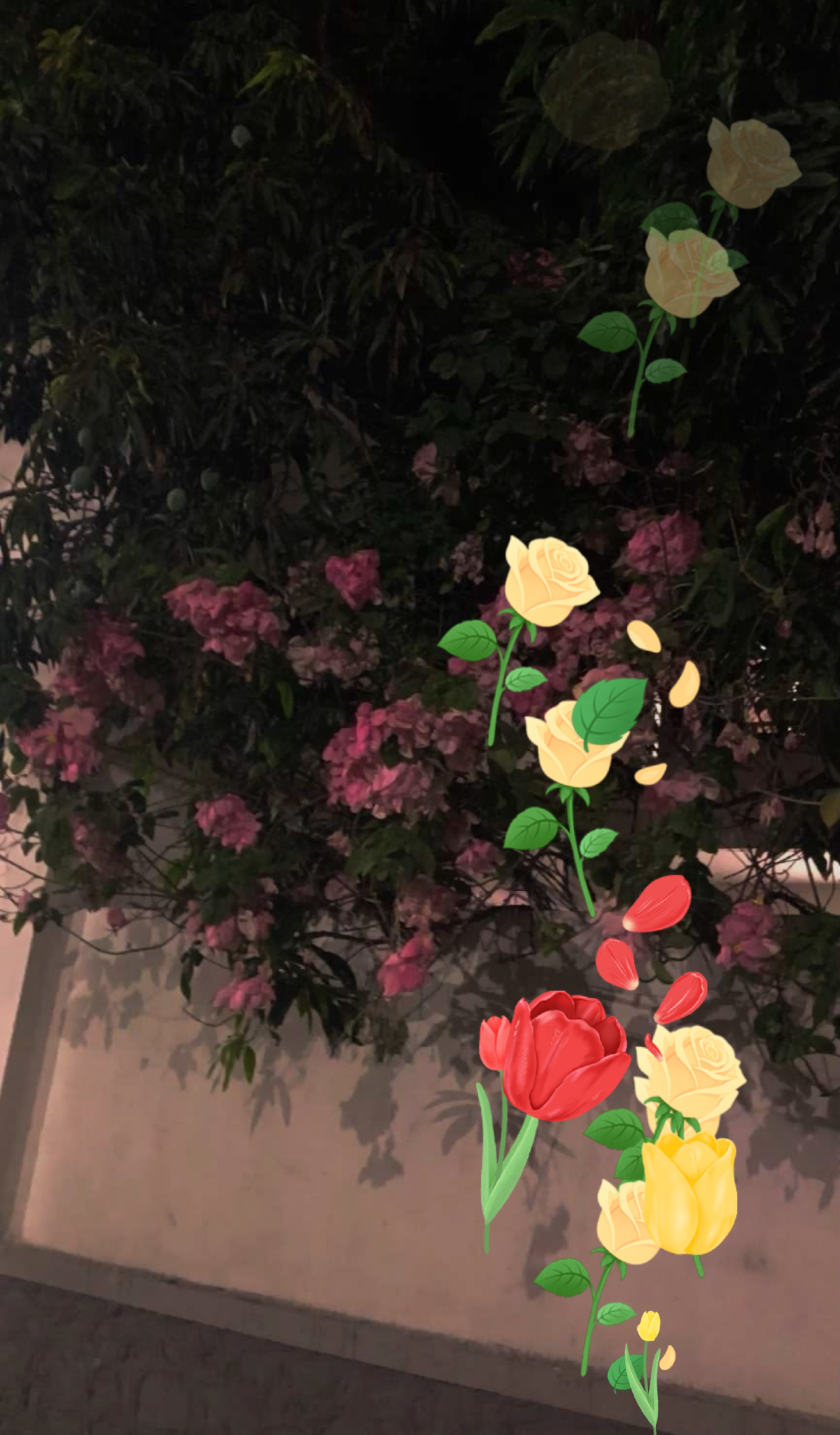 ⠀ 𝘮𝘪𝘥𝘯𝘪𝘵𝘦 ⠀  ⠀