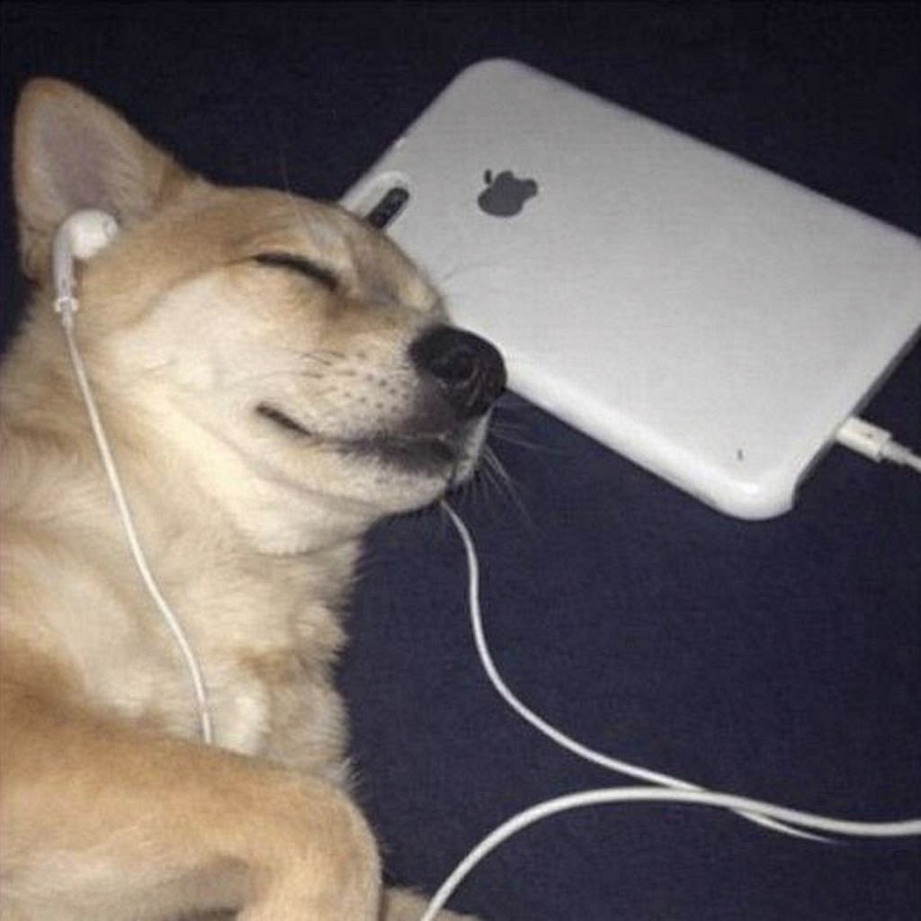 토크💕듣방/잠방 환영