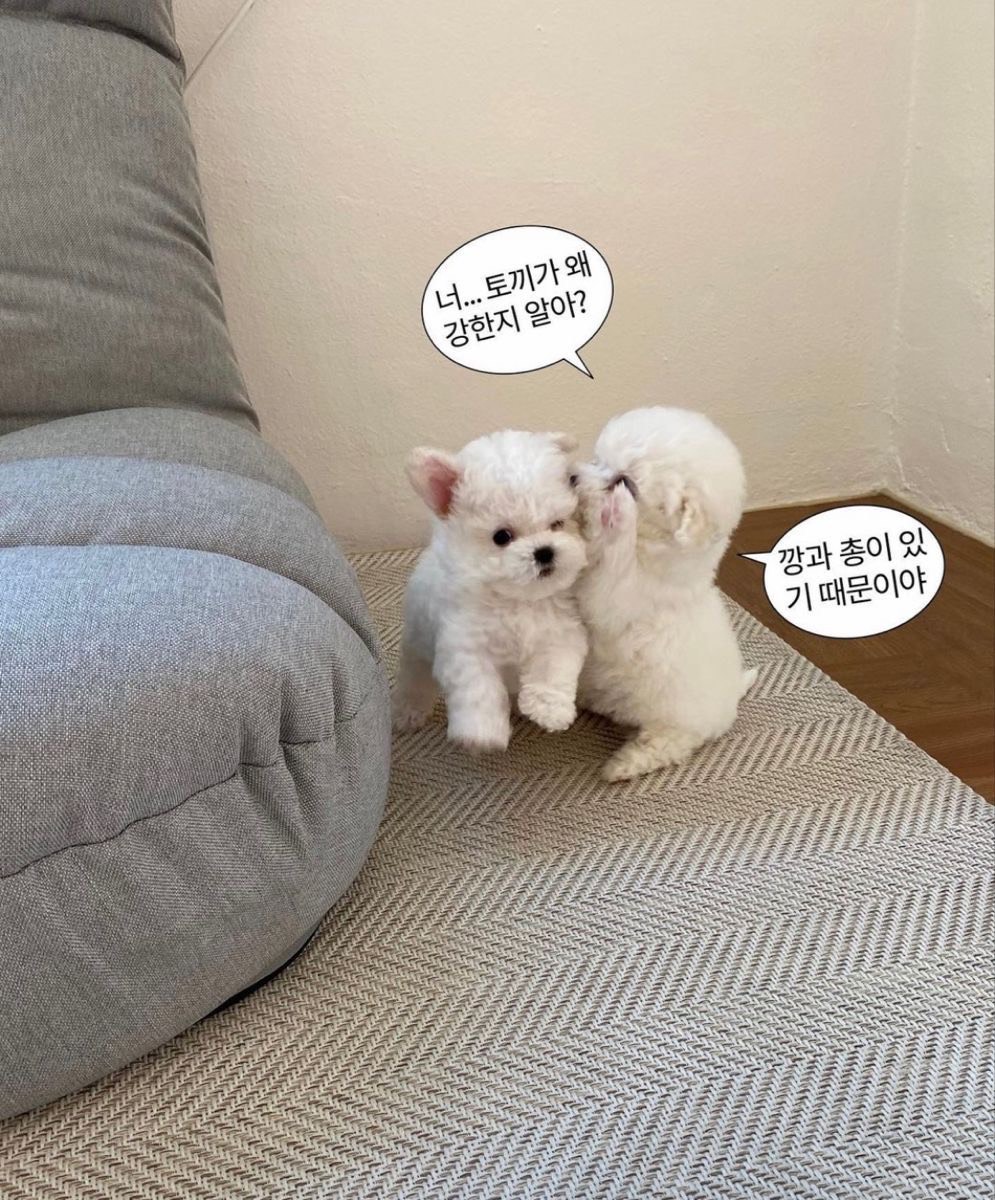 틀어두고 딴짓해도되는방💕