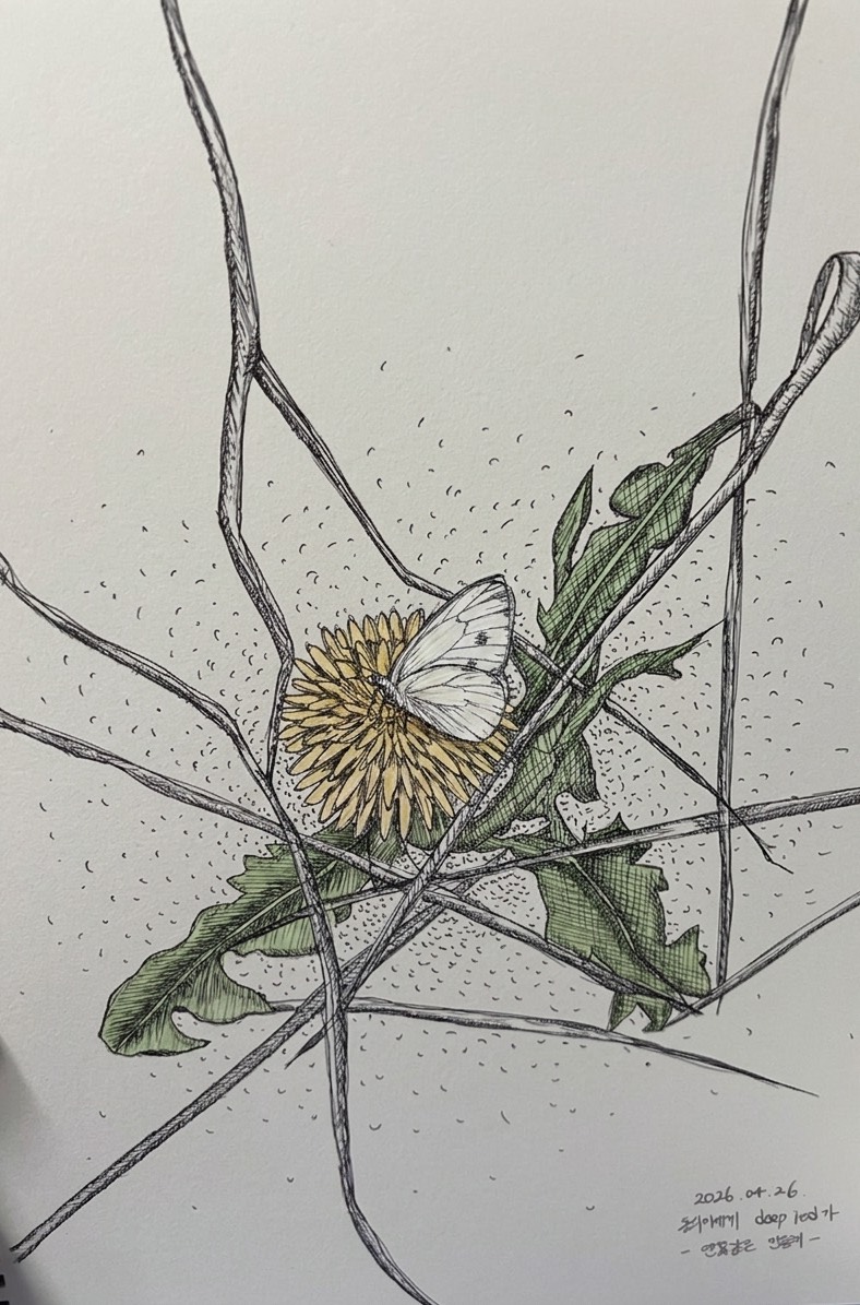 좋은 오후 데수꽝