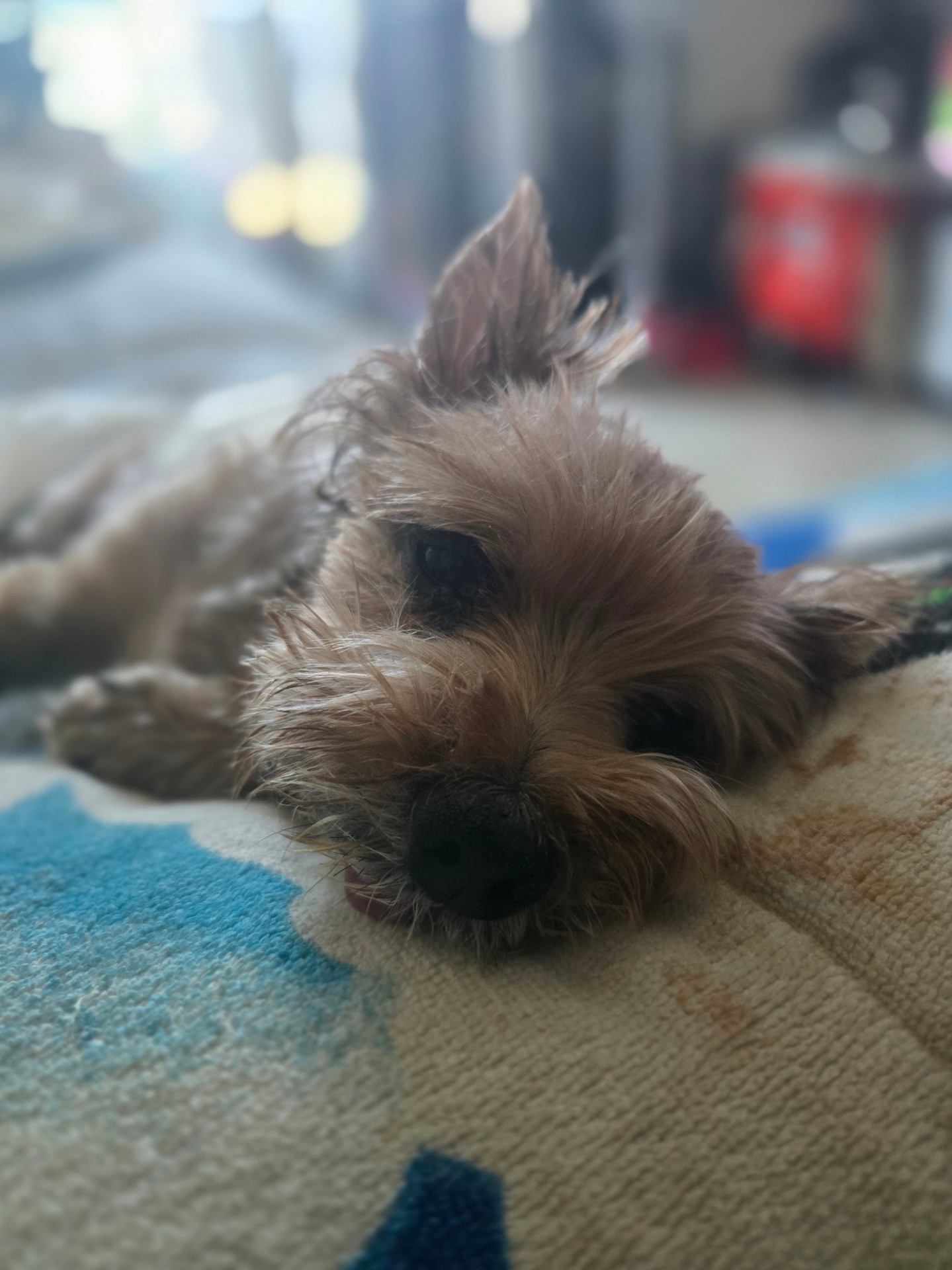 많이 더워지네..?