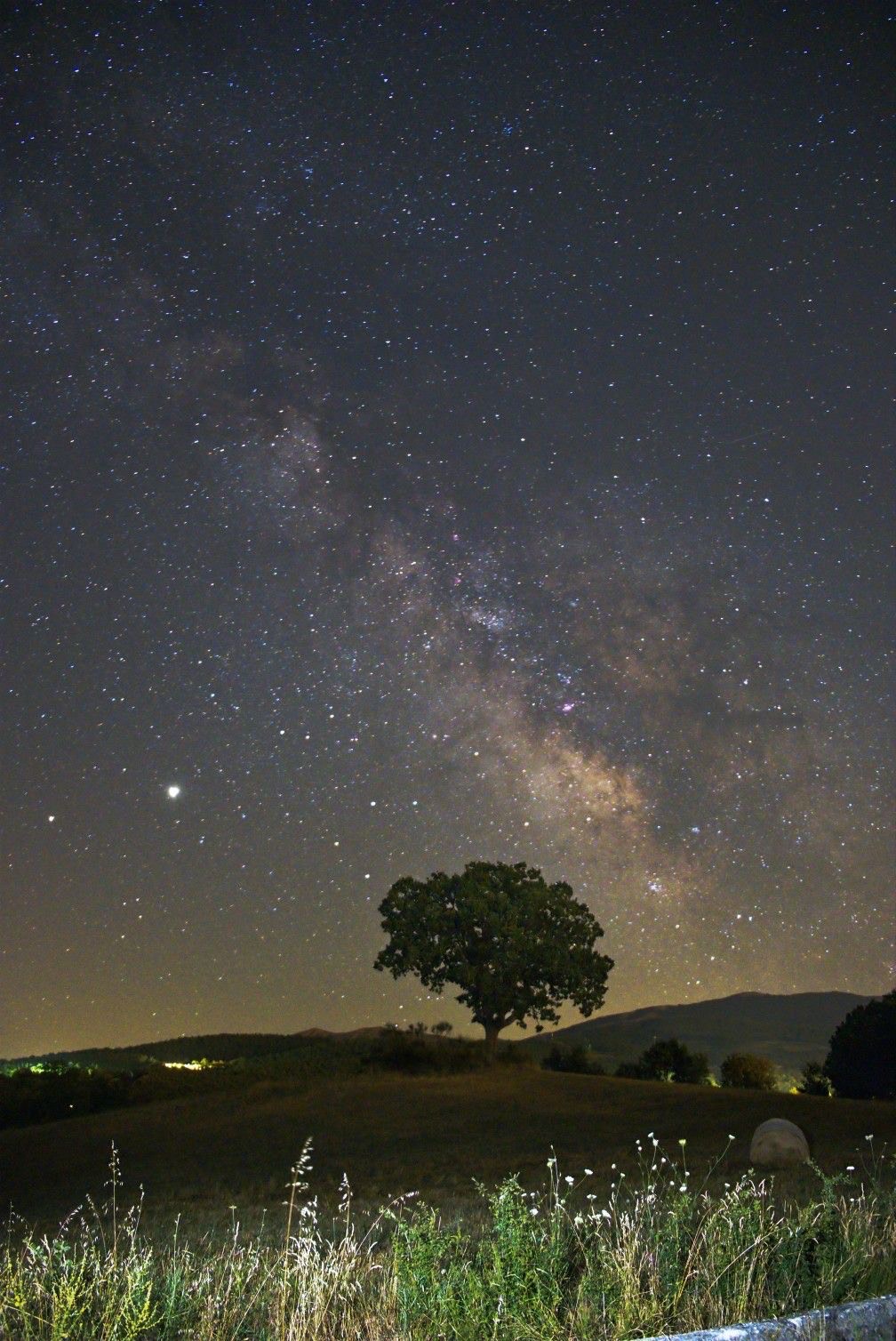 잔잔한~세온의 고민상담💕 아무나