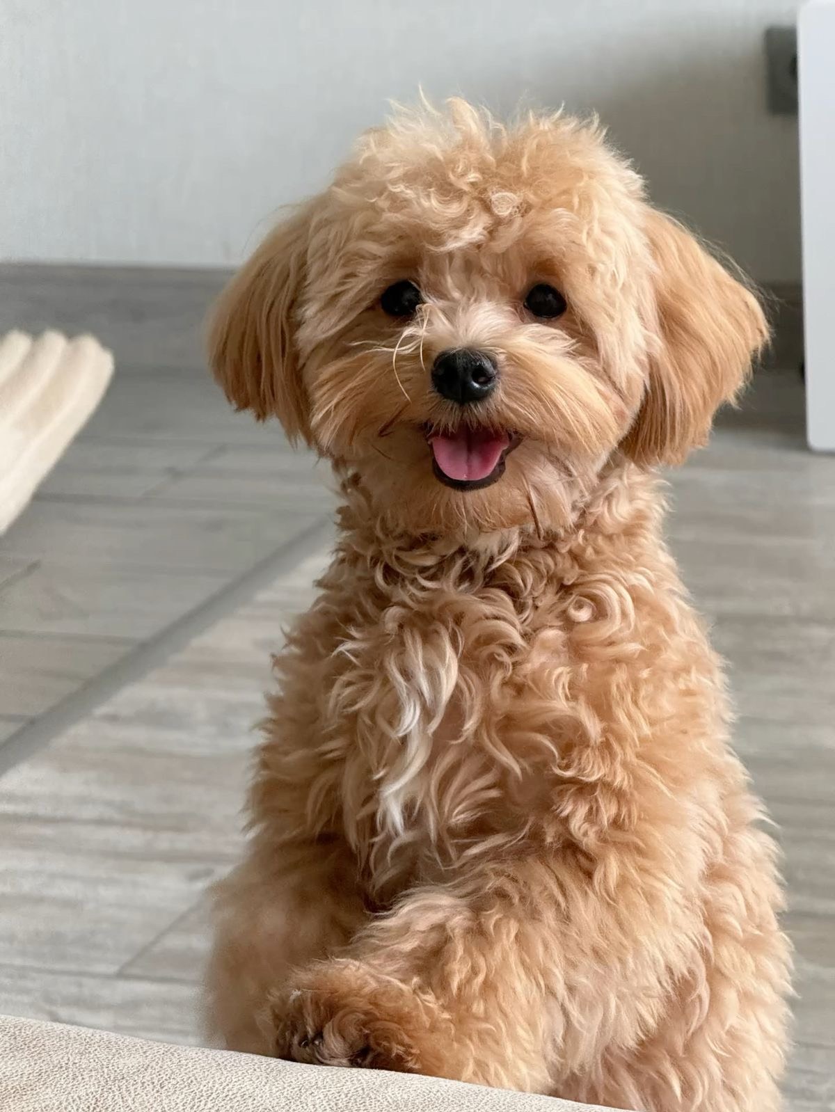 반주하며 노래해보기